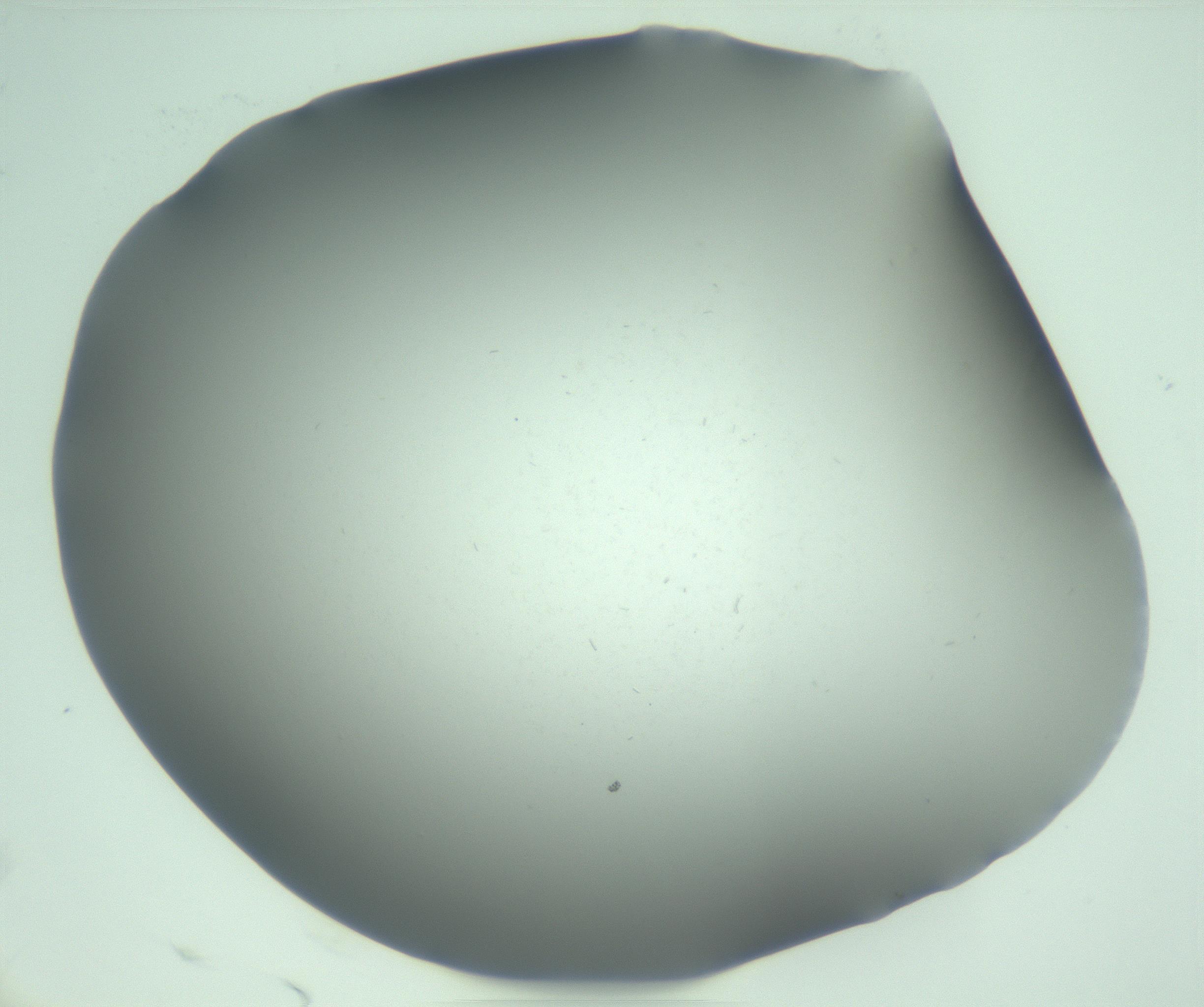 RI01_03_000_0212_Proj1_Clon1_MC_0000MC103268_002_170210_09_01_02_00_99_002_001_RAI.jpg