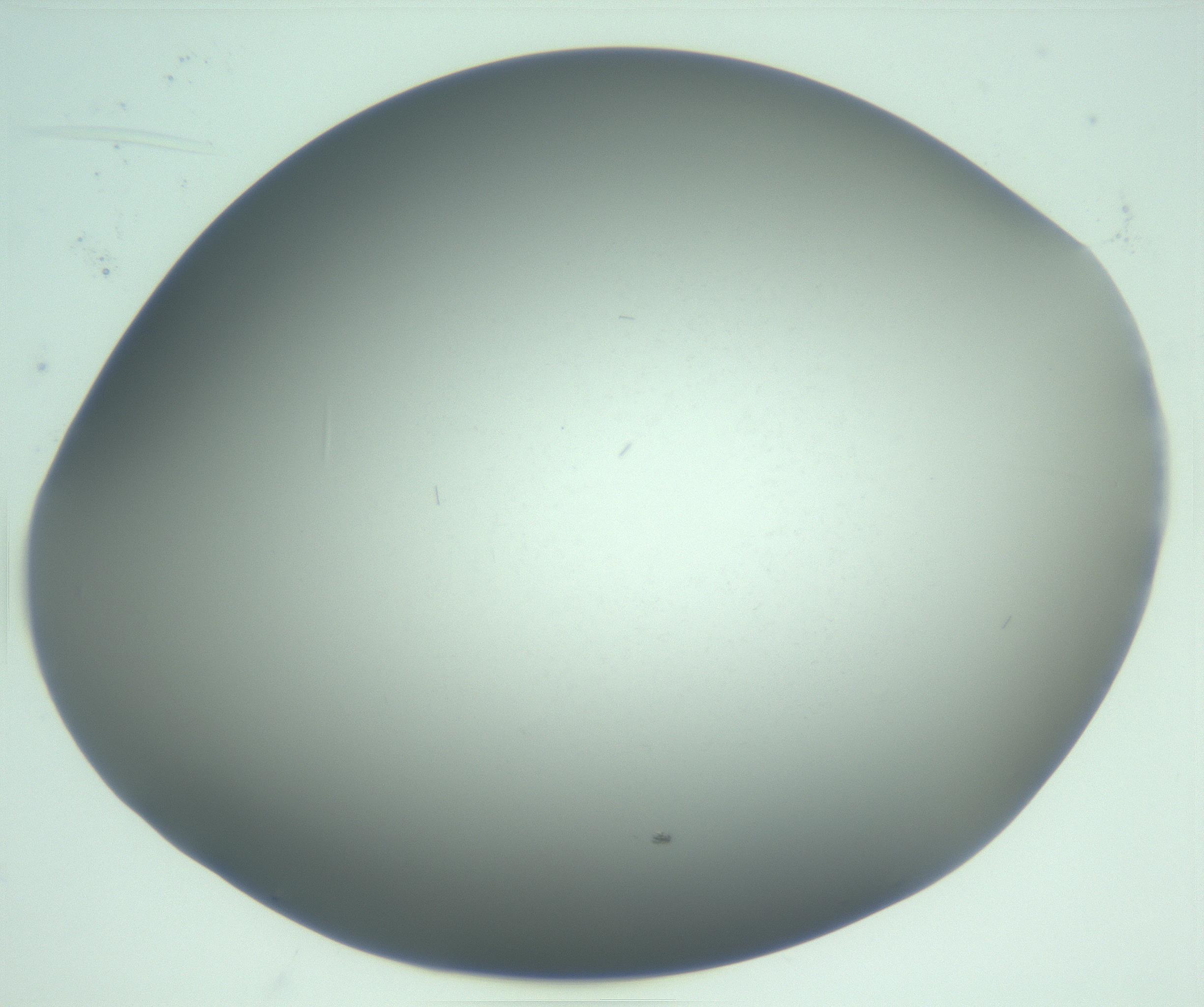 RI01_03_000_0212_Proj1_Clon1_MC_0000MC103268_002_170210_10_07_02_00_99_002_001_RAI.jpg