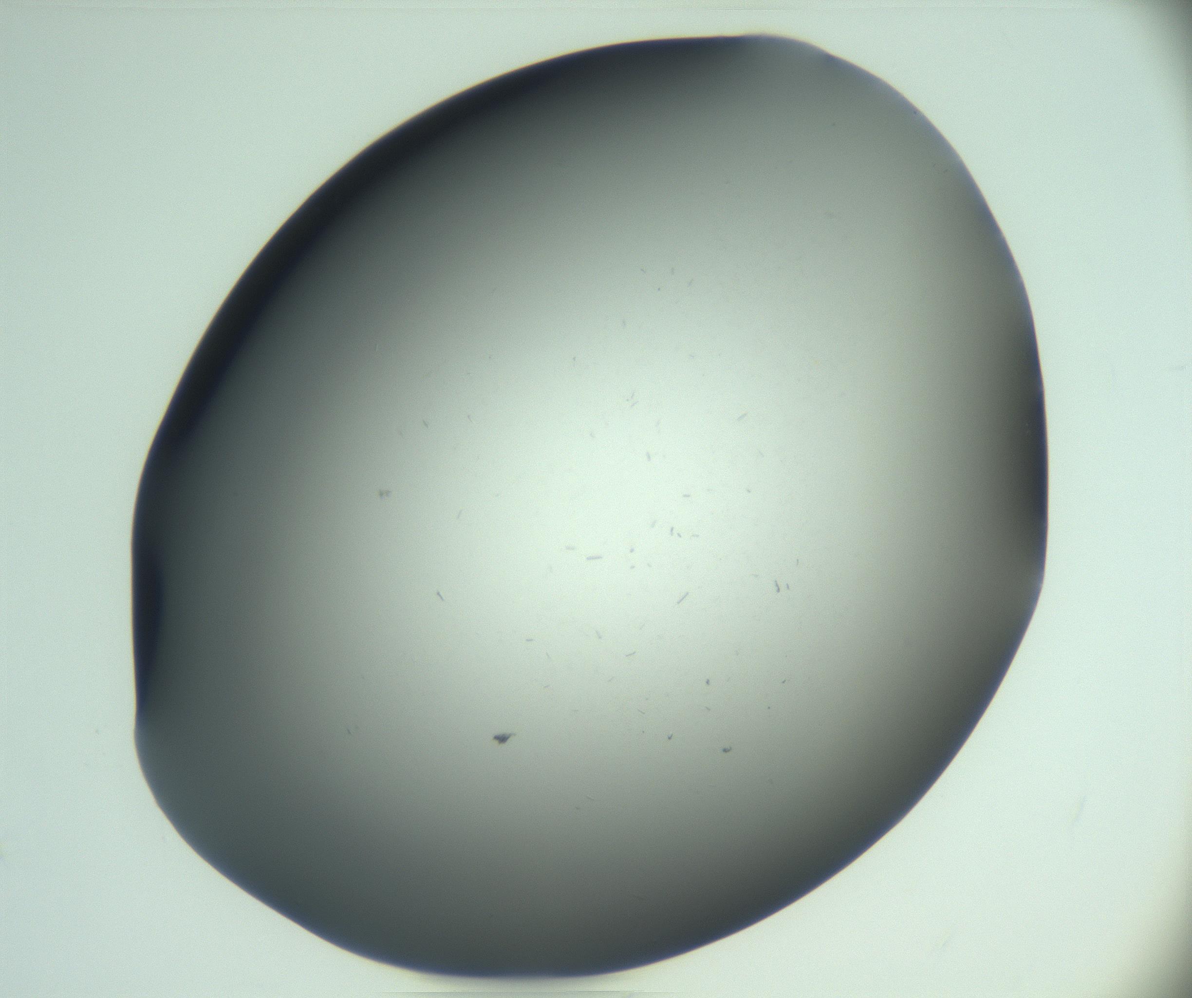 RI01_03_000_0212_Proj1_Clon1_MC_0000MC103268_002_170210_12_04_02_00_99_002_001_RAI.jpg