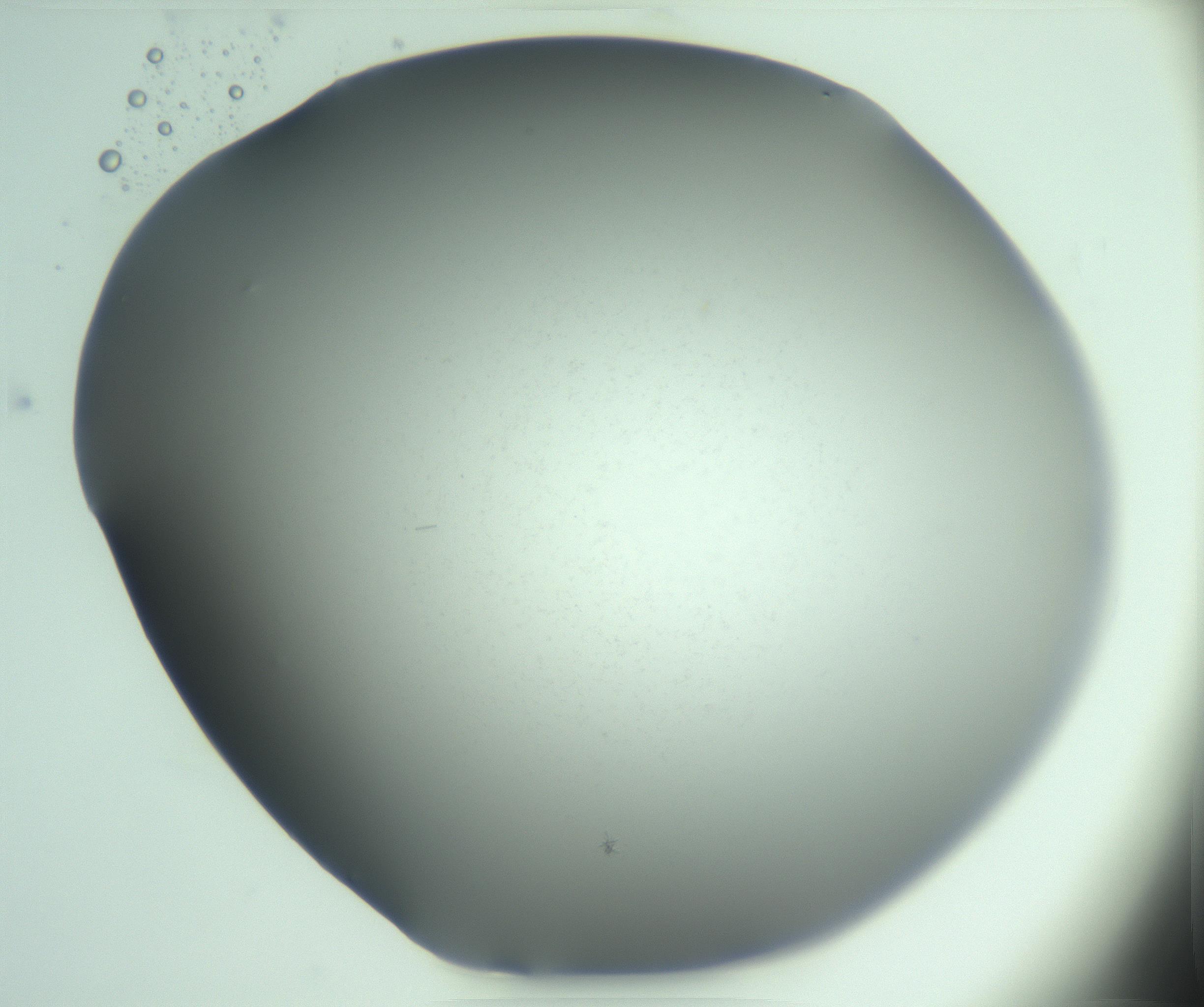 RI01_03_000_0212_Proj1_Clon1_MC_0000MC103268_003_170212_03_03_02_00_99_002_001_RAI.jpg