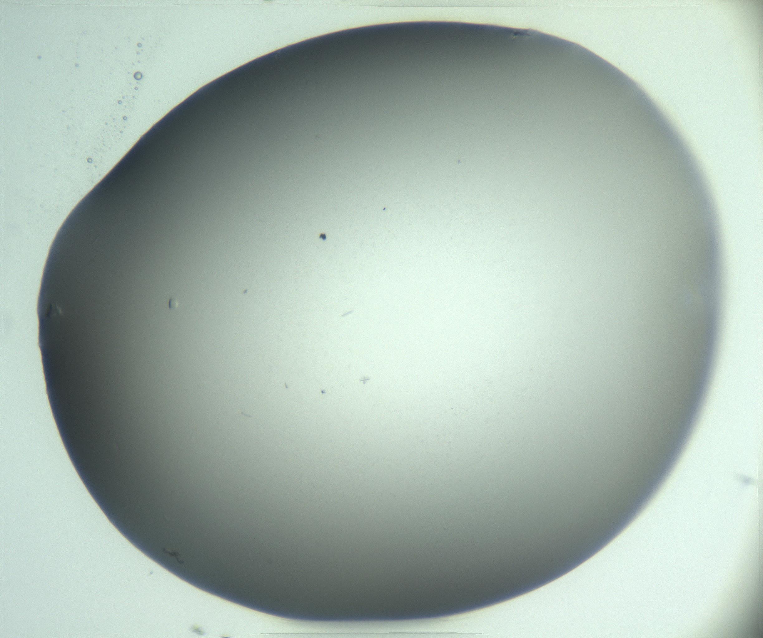 RI01_03_000_0212_Proj1_Clon1_MC_0000MC103268_003_170212_03_04_02_00_99_002_001_RAI.jpg