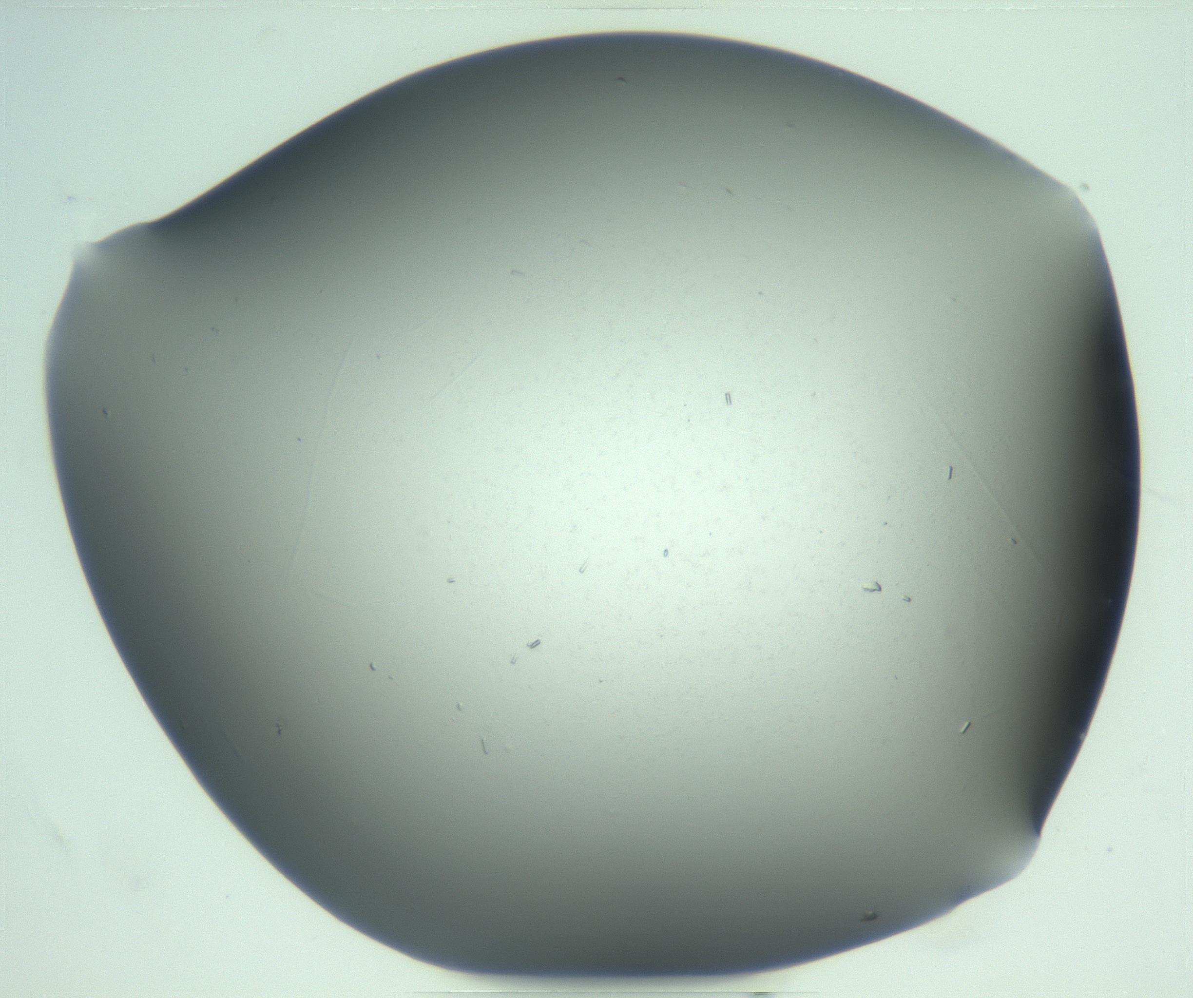 RI01_03_000_0212_Proj1_Clon1_MC_0000MC103268_003_170212_03_08_02_00_99_002_001_RAI.jpg