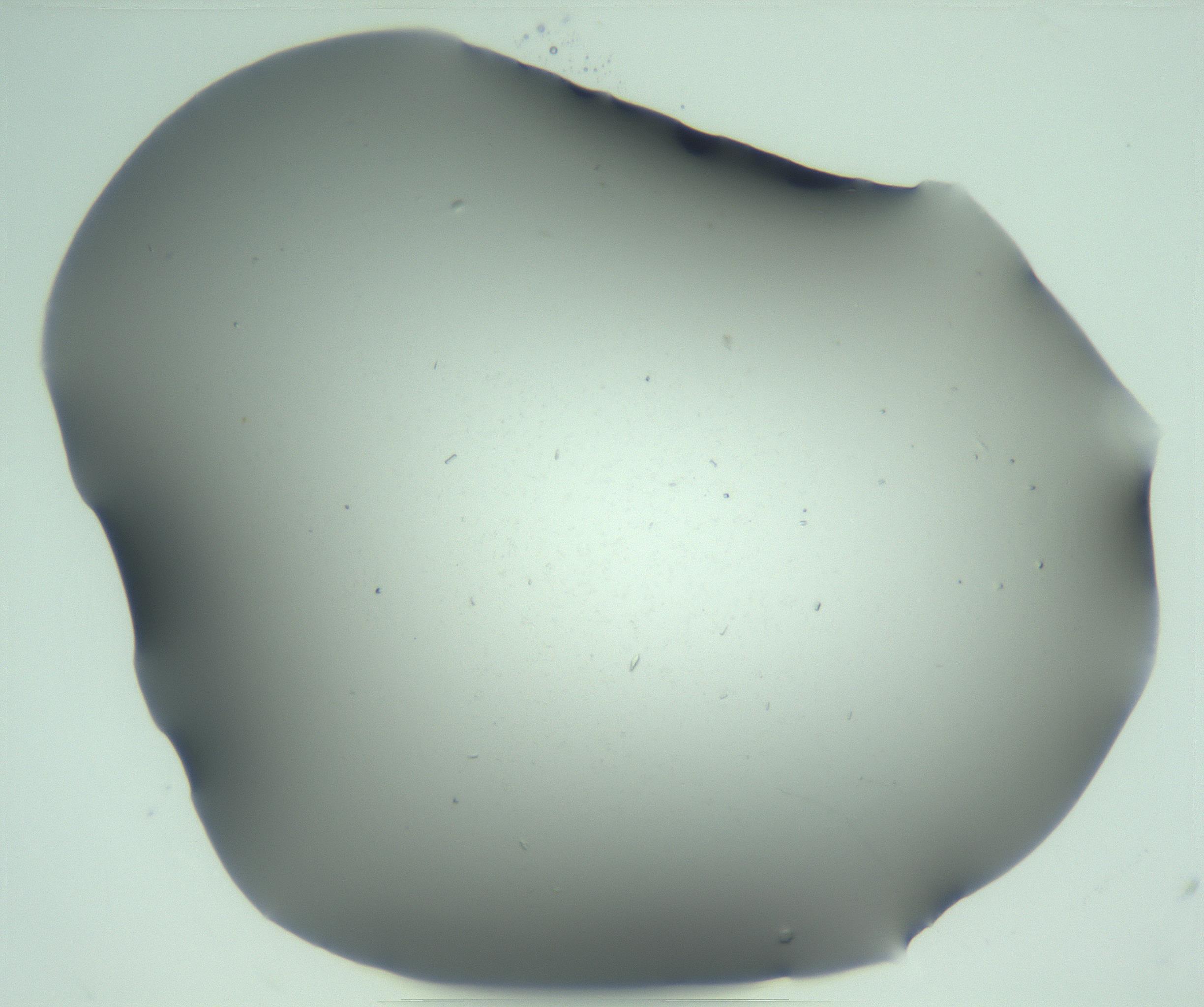 RI01_03_000_0212_Proj1_Clon1_MC_0000MC103268_003_170212_04_02_02_00_99_002_001_RAI.jpg