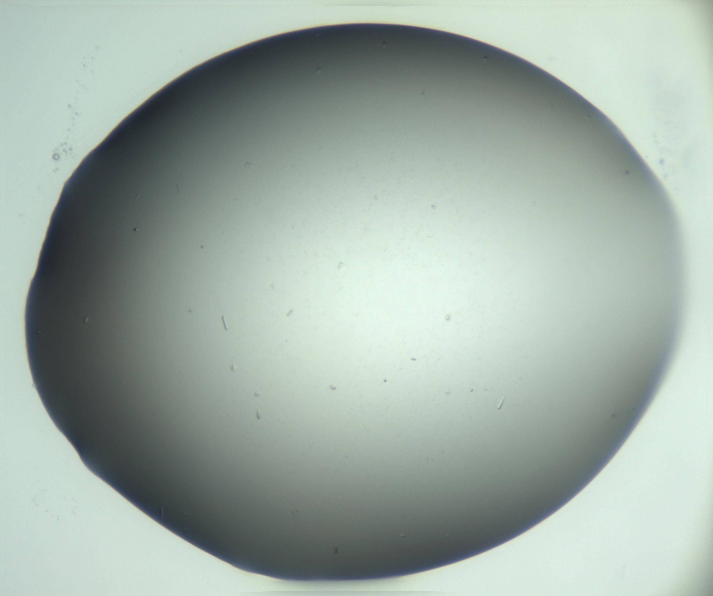 RI01_03_000_0212_Proj1_Clon1_MC_0000MC103268_003_170212_04_04_02_00_99_002_001_RAI.jpg