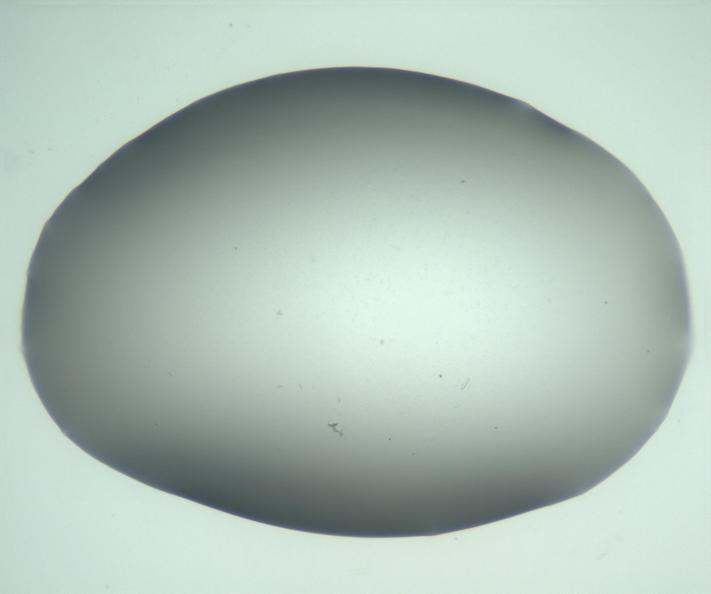 RI01_03_000_0212_Proj1_Clon1_MC_0000MC103268_003_170212_04_06_02_00_99_002_001_RAI.jpg