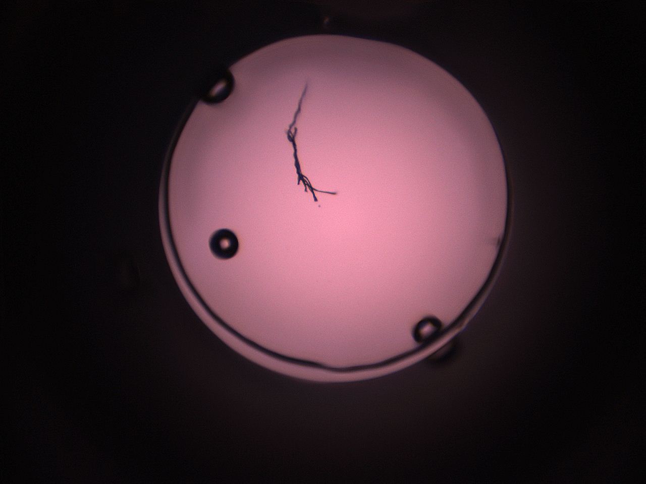 05i5_N9_ImagerDefaults_1.jpg