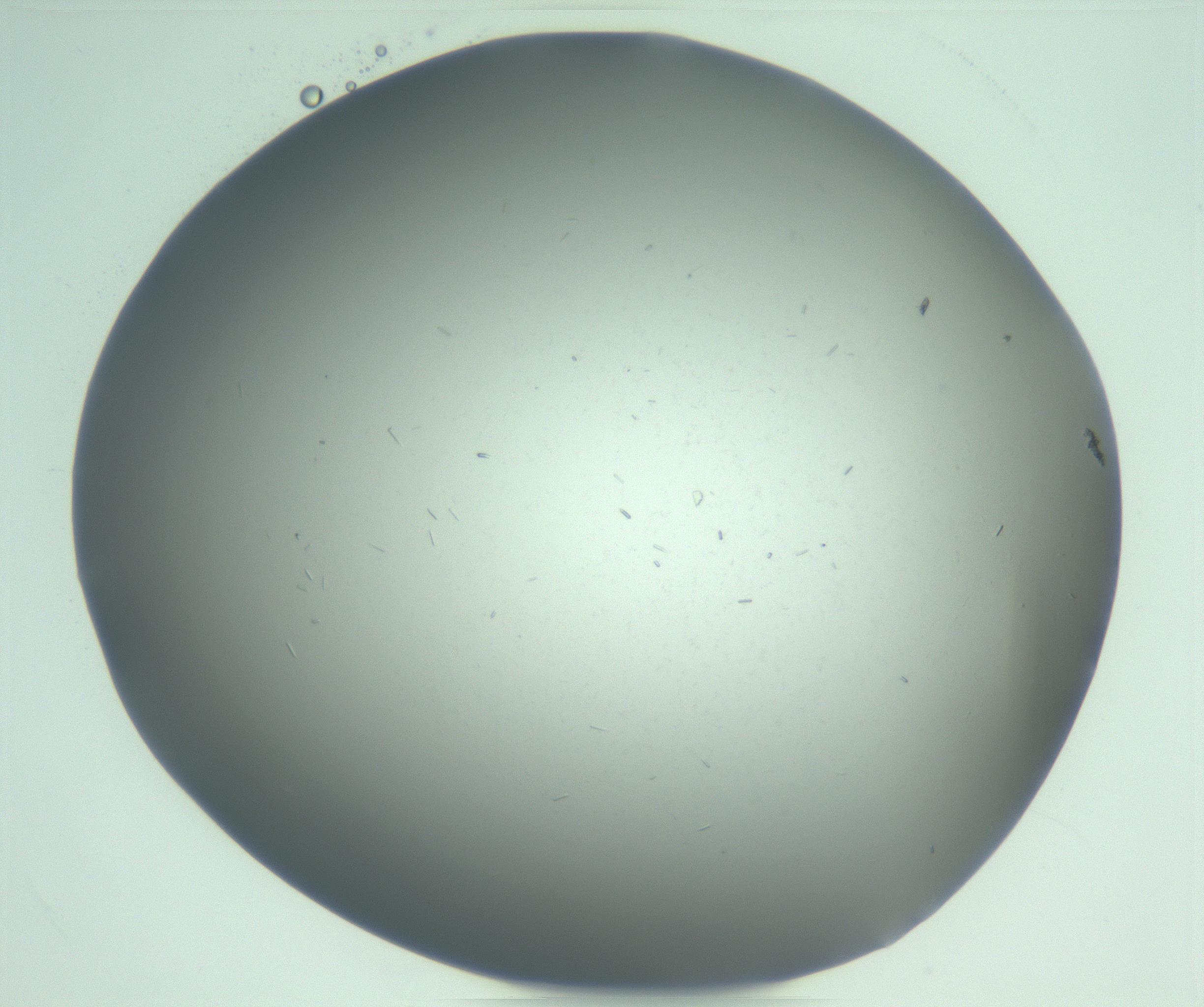RI01_03_000_0212_Proj1_Clon1_MC_0000MC103268_003_170212_05_06_02_00_99_002_001_RAI.jpg