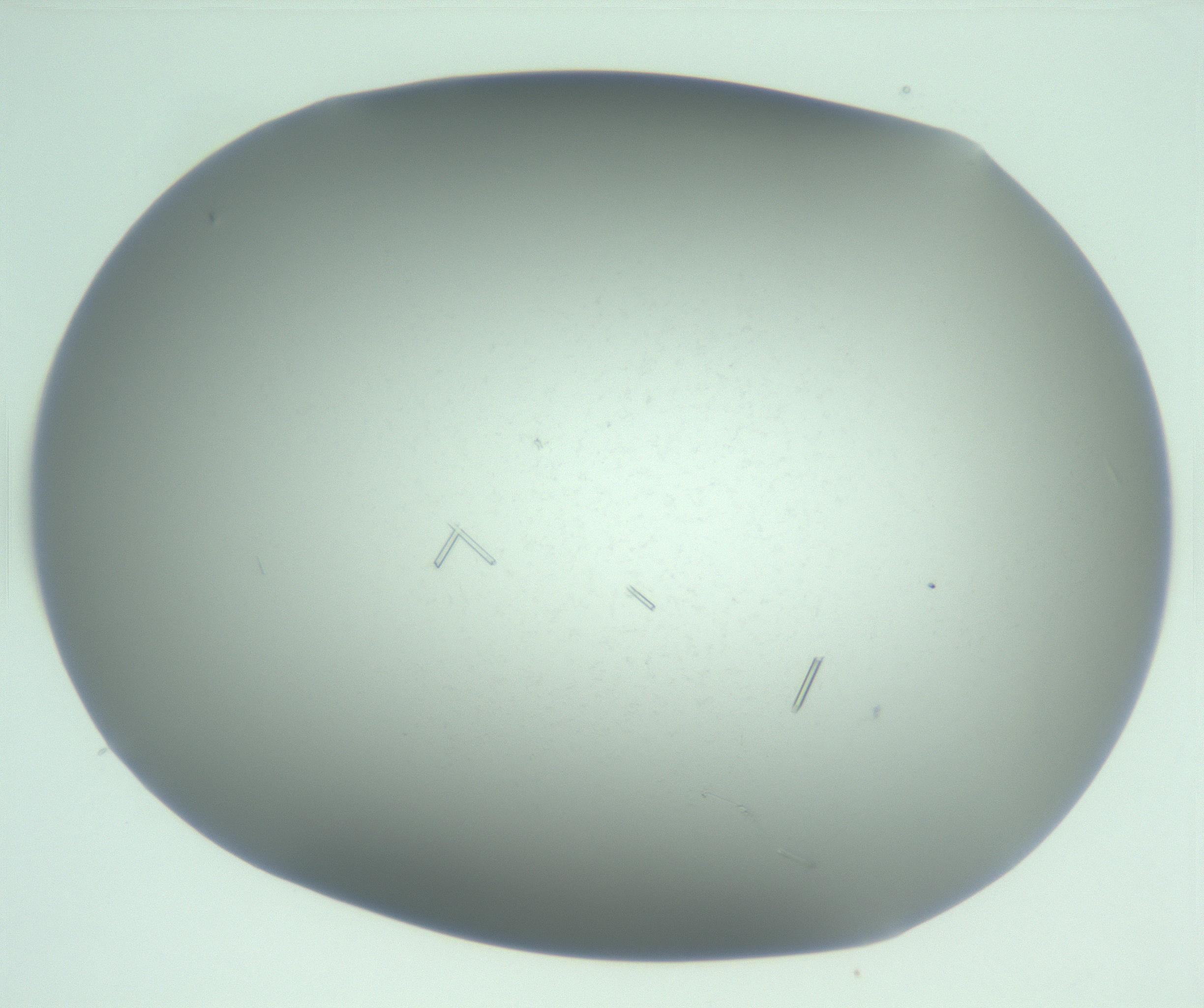 RI01_03_000_0212_Proj1_Clon1_MC_0000MC103268_003_170212_06_06_01_00_99_002_001_RAI.jpg