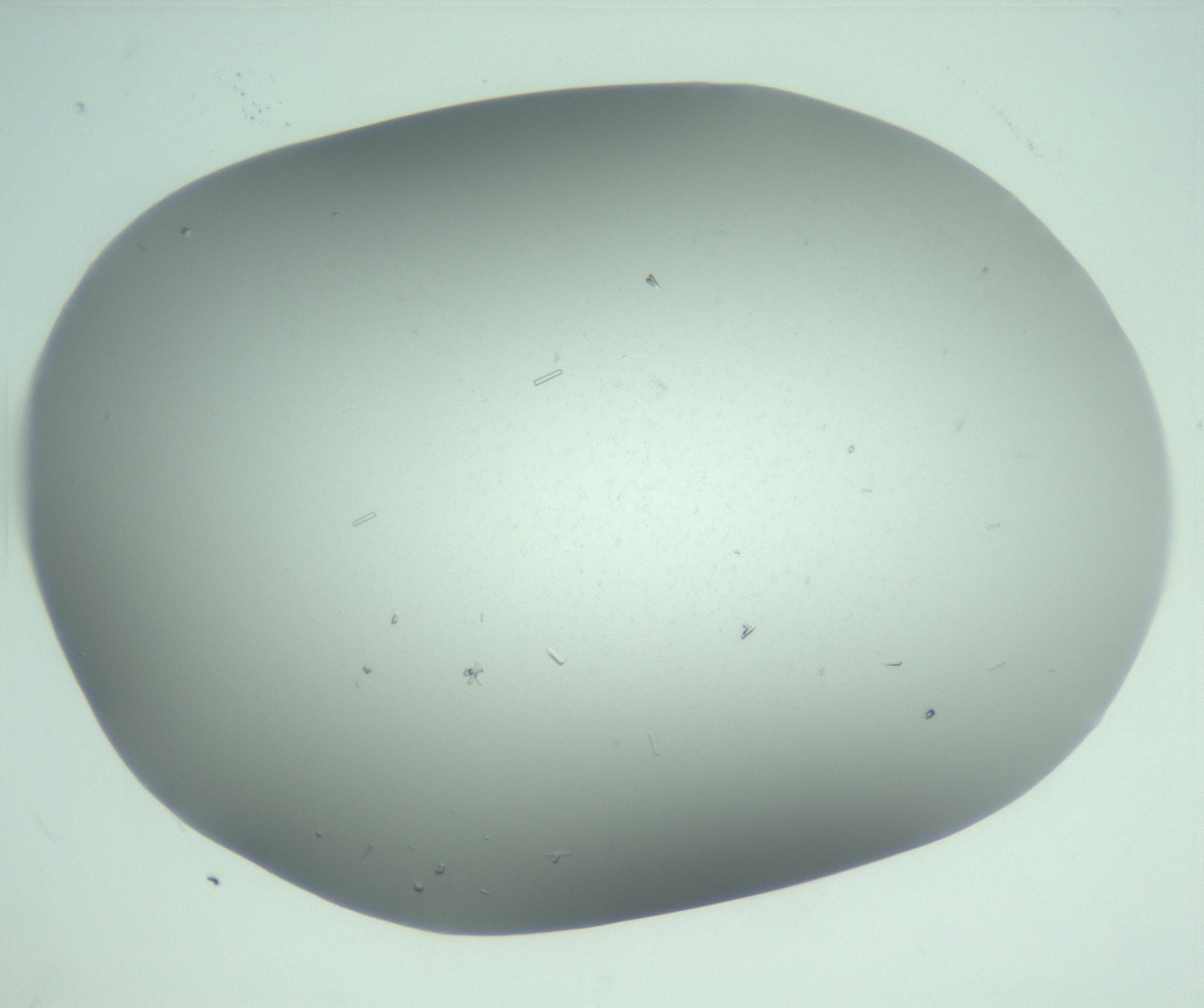 RI01_03_000_0212_Proj1_Clon1_MC_0000MC103268_003_170212_06_07_02_00_99_002_001_RAI.jpg