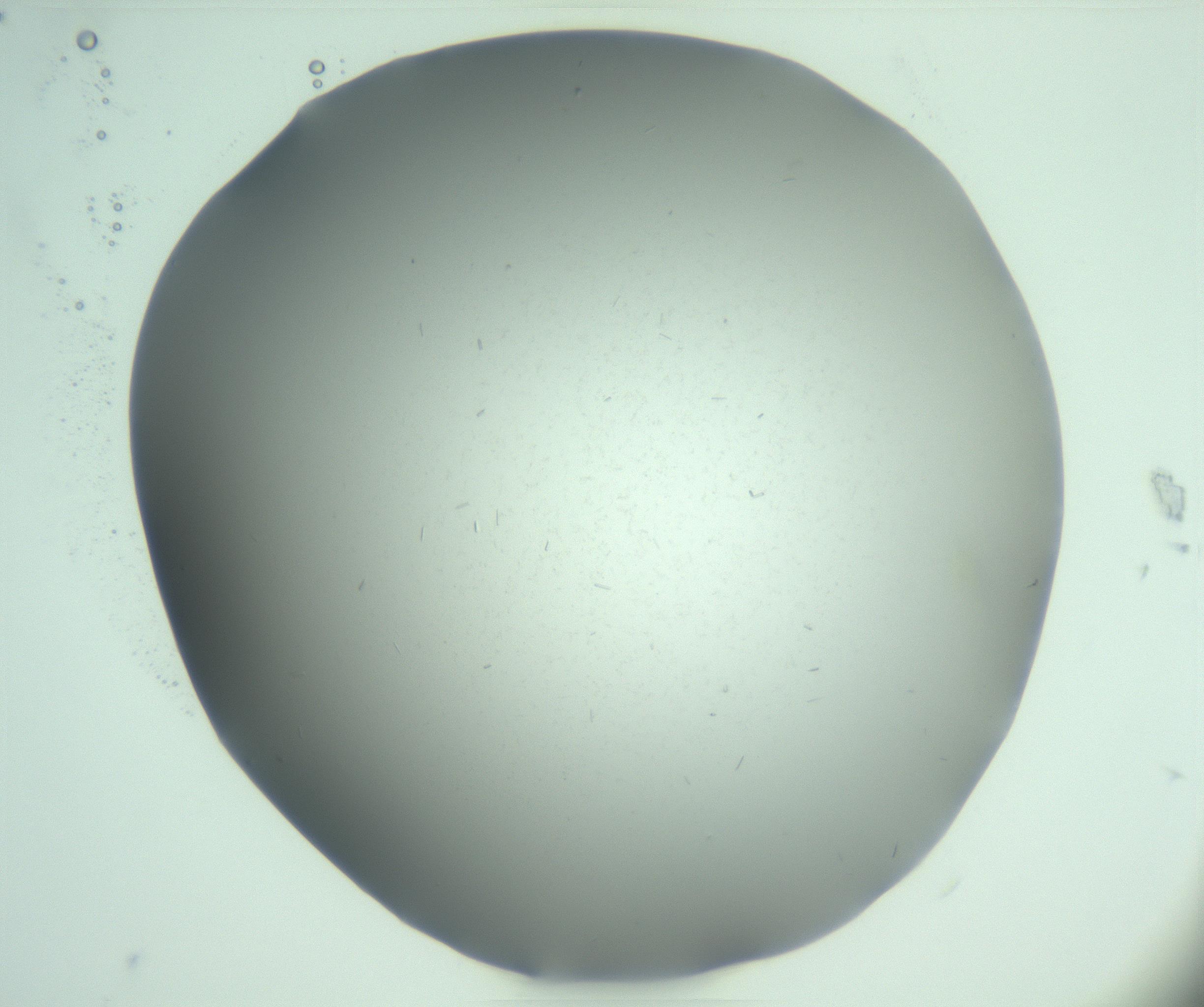 RI01_03_000_0212_Proj1_Clon1_MC_0000MC103268_003_170212_07_03_02_00_99_002_001_RAI.jpg