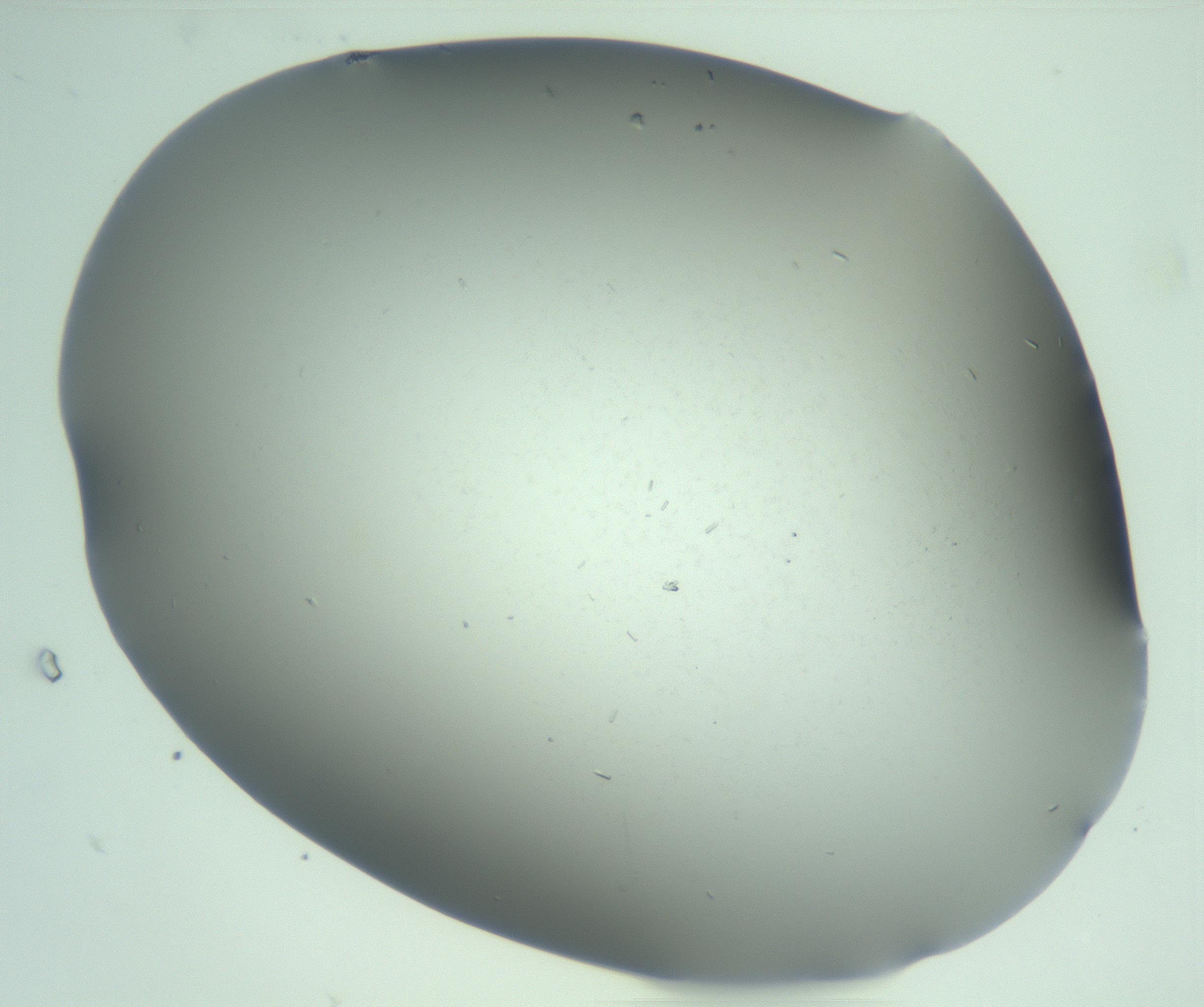 RI01_03_000_0212_Proj1_Clon1_MC_0000MC103268_003_170212_10_02_02_00_99_002_001_RAI.jpg