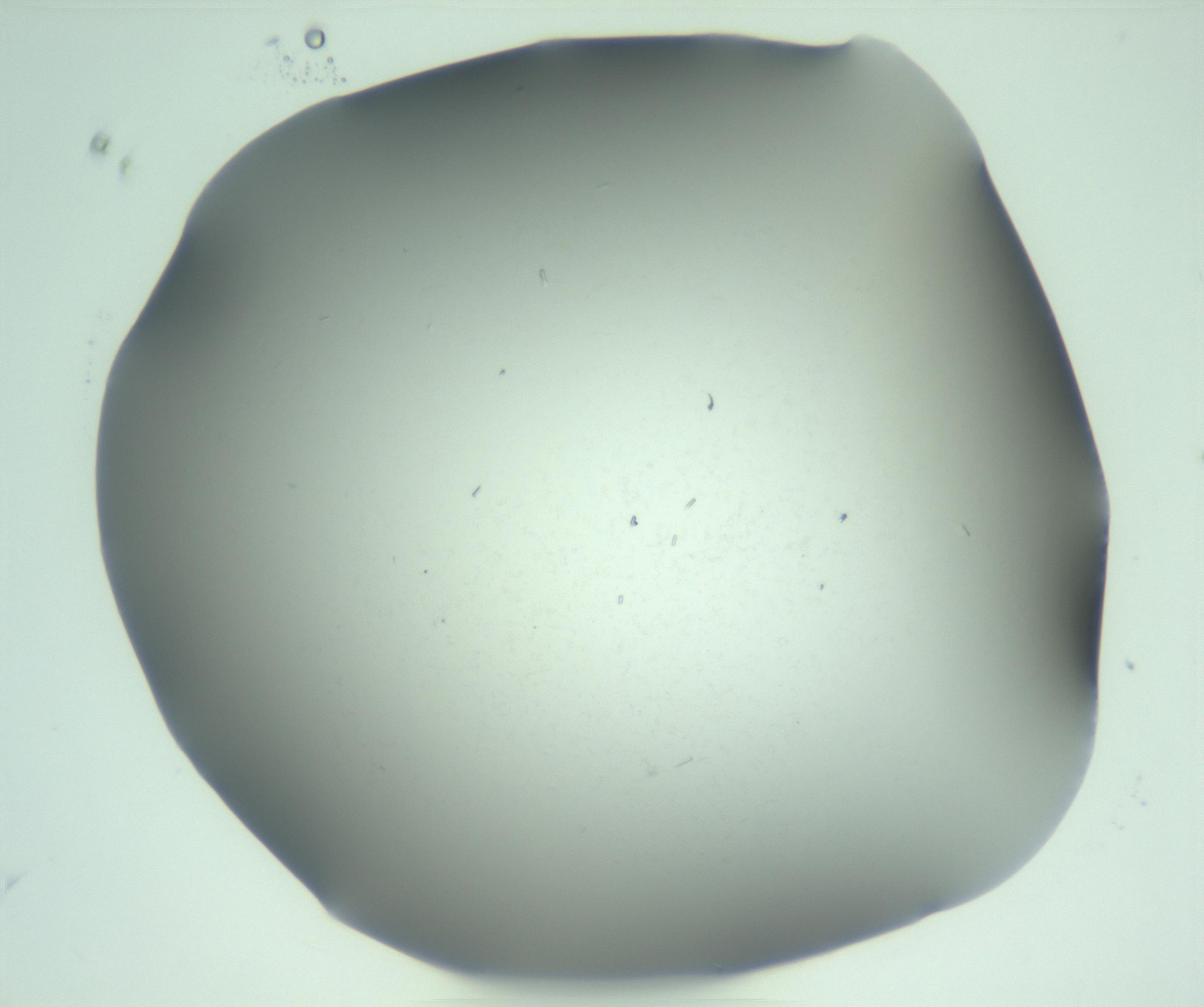 RI01_03_000_0212_Proj1_Clon1_MC_0000MC103268_003_170212_11_01_02_00_99_002_001_RAI.jpg