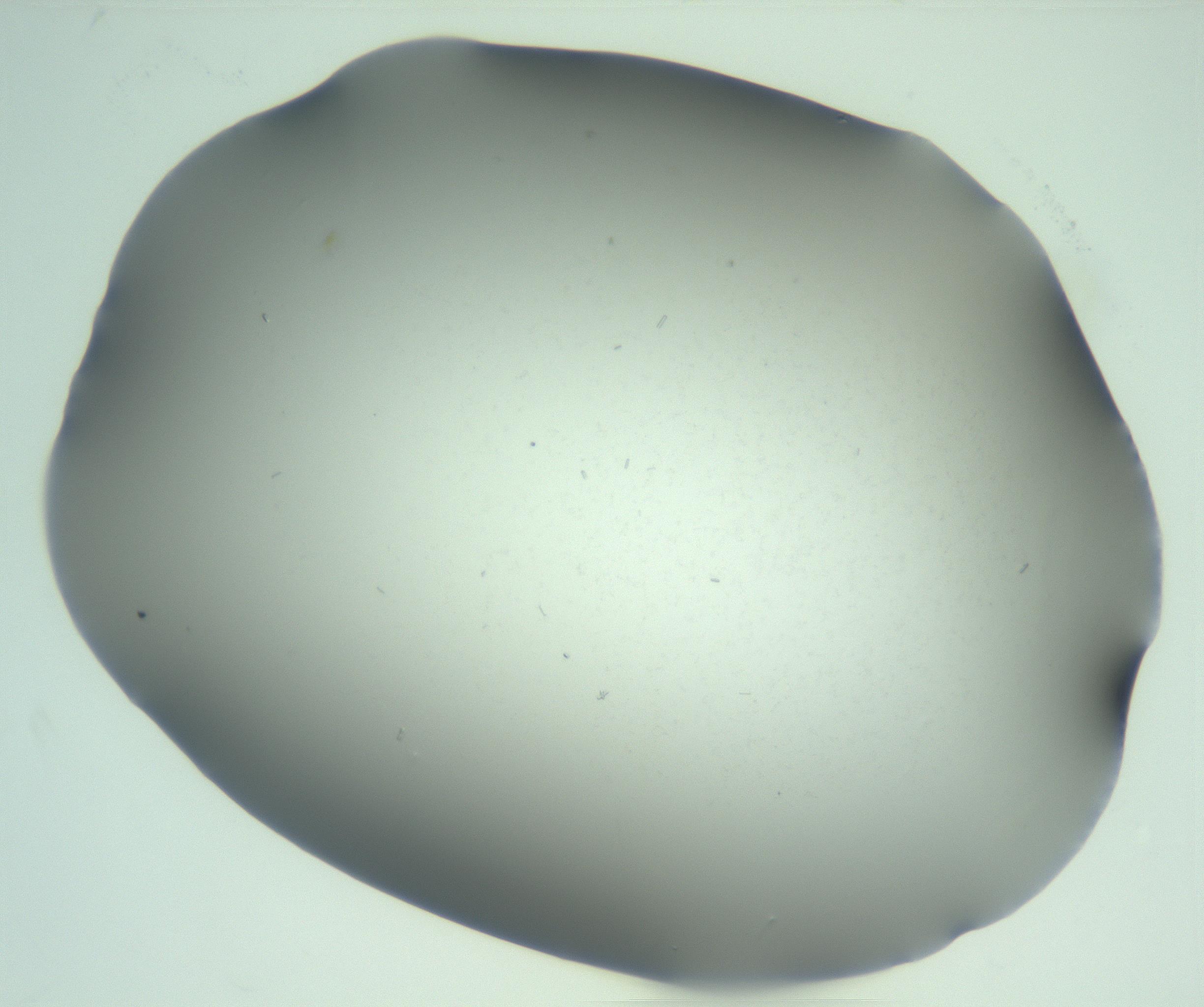 RI01_03_000_0212_Proj1_Clon1_MC_0000MC103268_003_170212_11_02_02_00_99_002_001_RAI.jpg