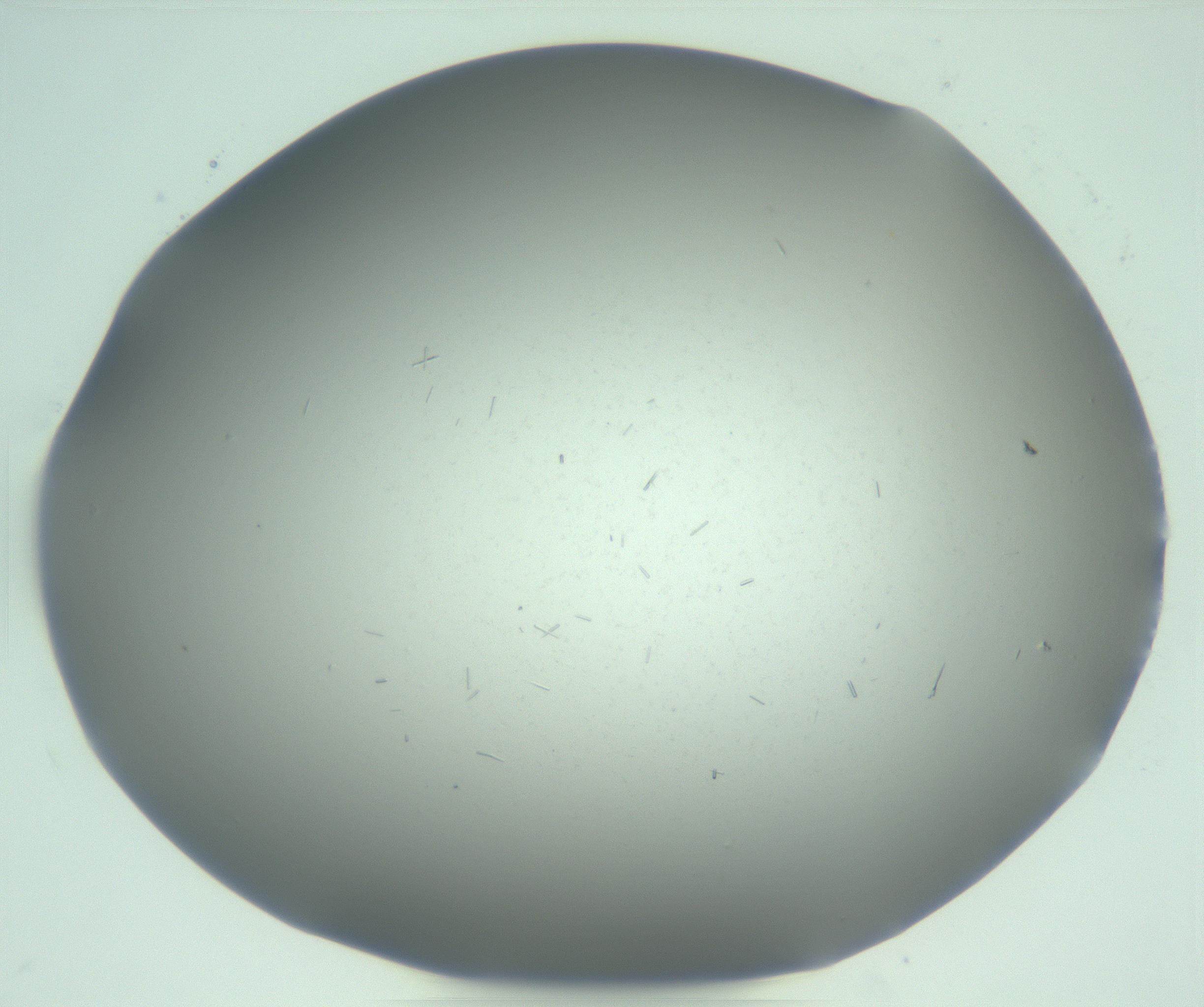 RI01_03_000_0212_Proj1_Clon1_MC_0000MC103268_003_170212_11_05_02_00_99_002_001_RAI.jpg