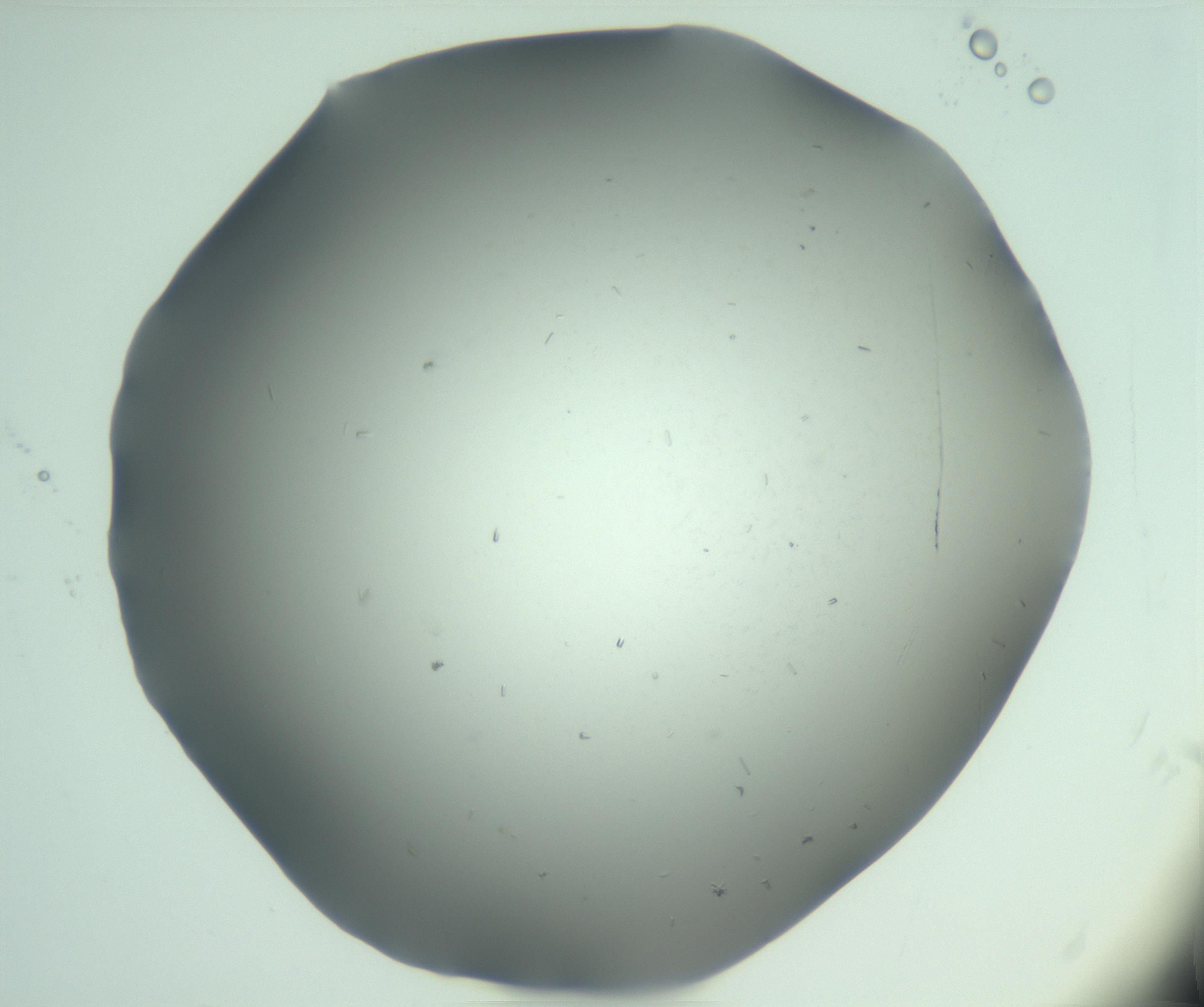 RI01_03_000_0212_Proj1_Clon1_MC_0000MC103268_003_170212_12_03_02_00_99_002_001_RAI.jpg