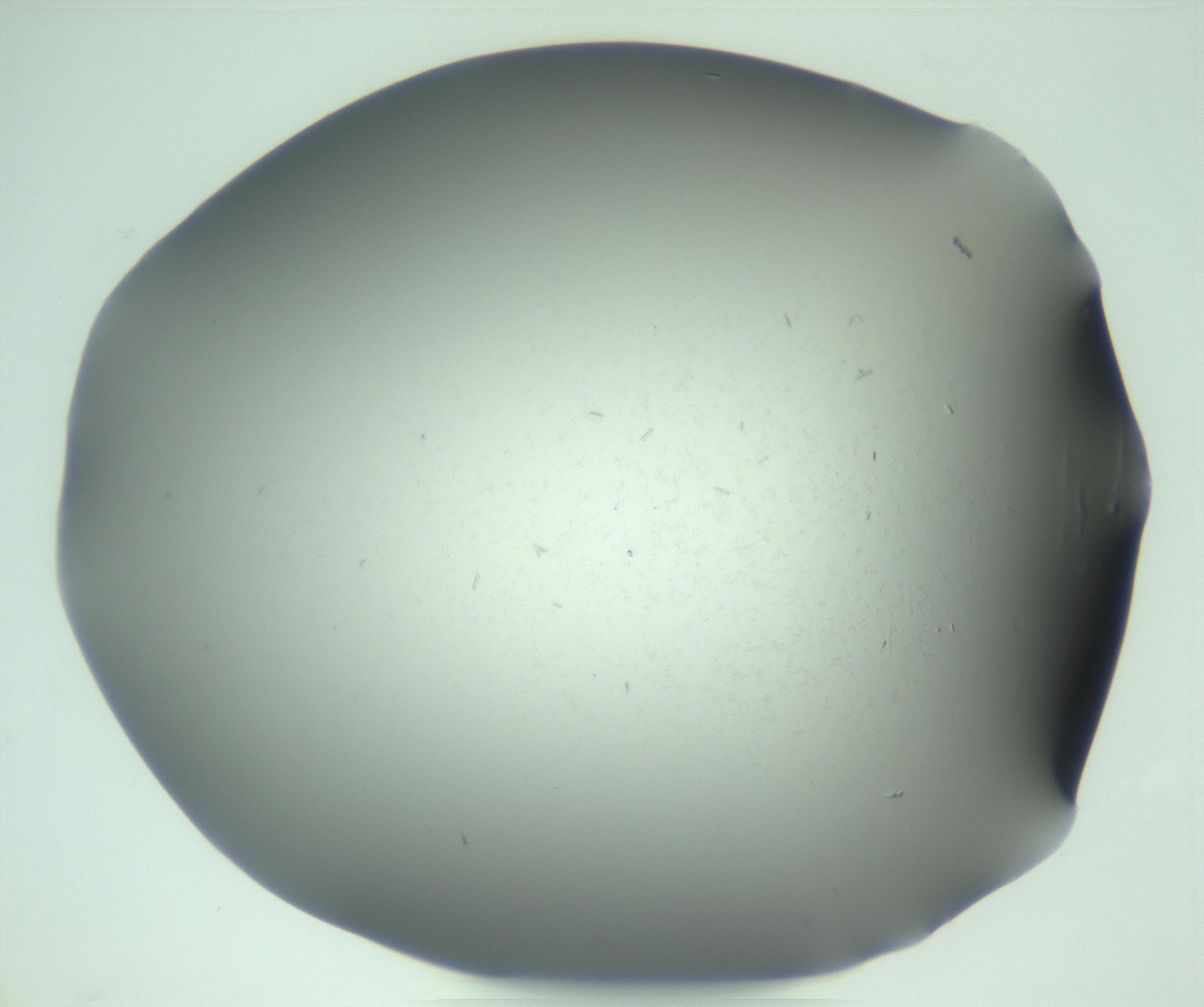 RI01_03_000_0212_Proj1_Clon1_MC_0000MC103268_003_170212_12_05_02_00_99_002_001_RAI.jpg