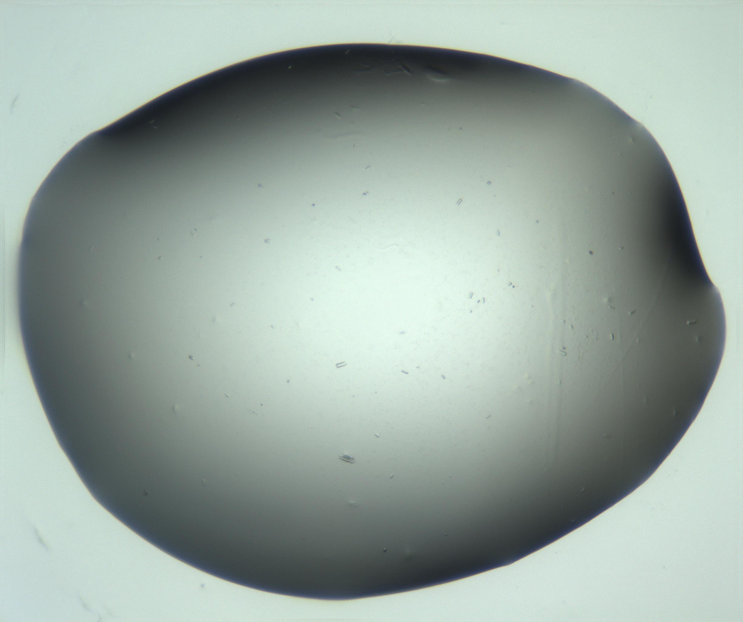 RI01_03_000_0212_Proj1_Clon1_MC_0000MC103268_003_170212_12_08_02_00_99_002_001_RAI.jpg