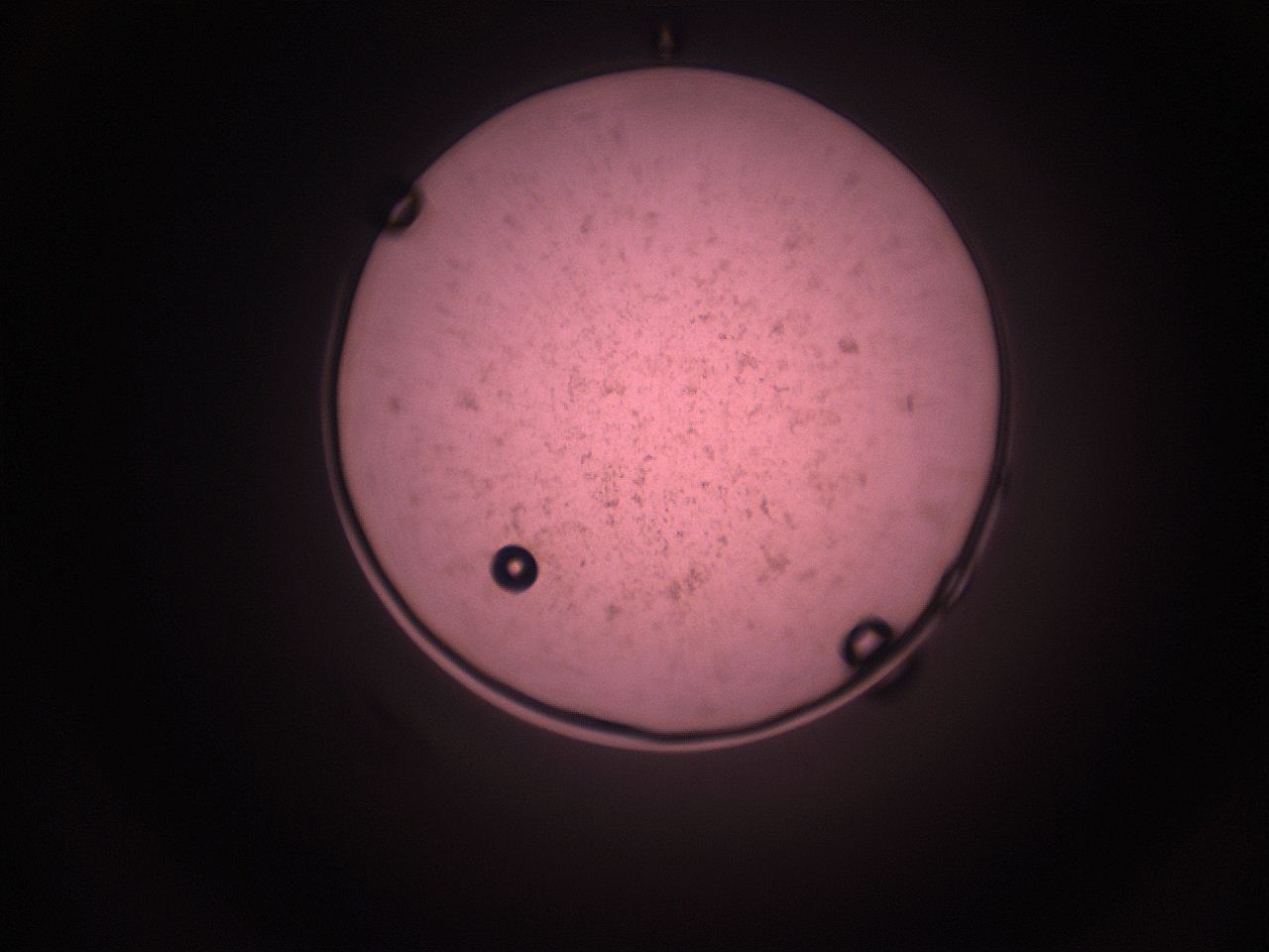 05i5_N12_ImagerDefaults_9.jpg