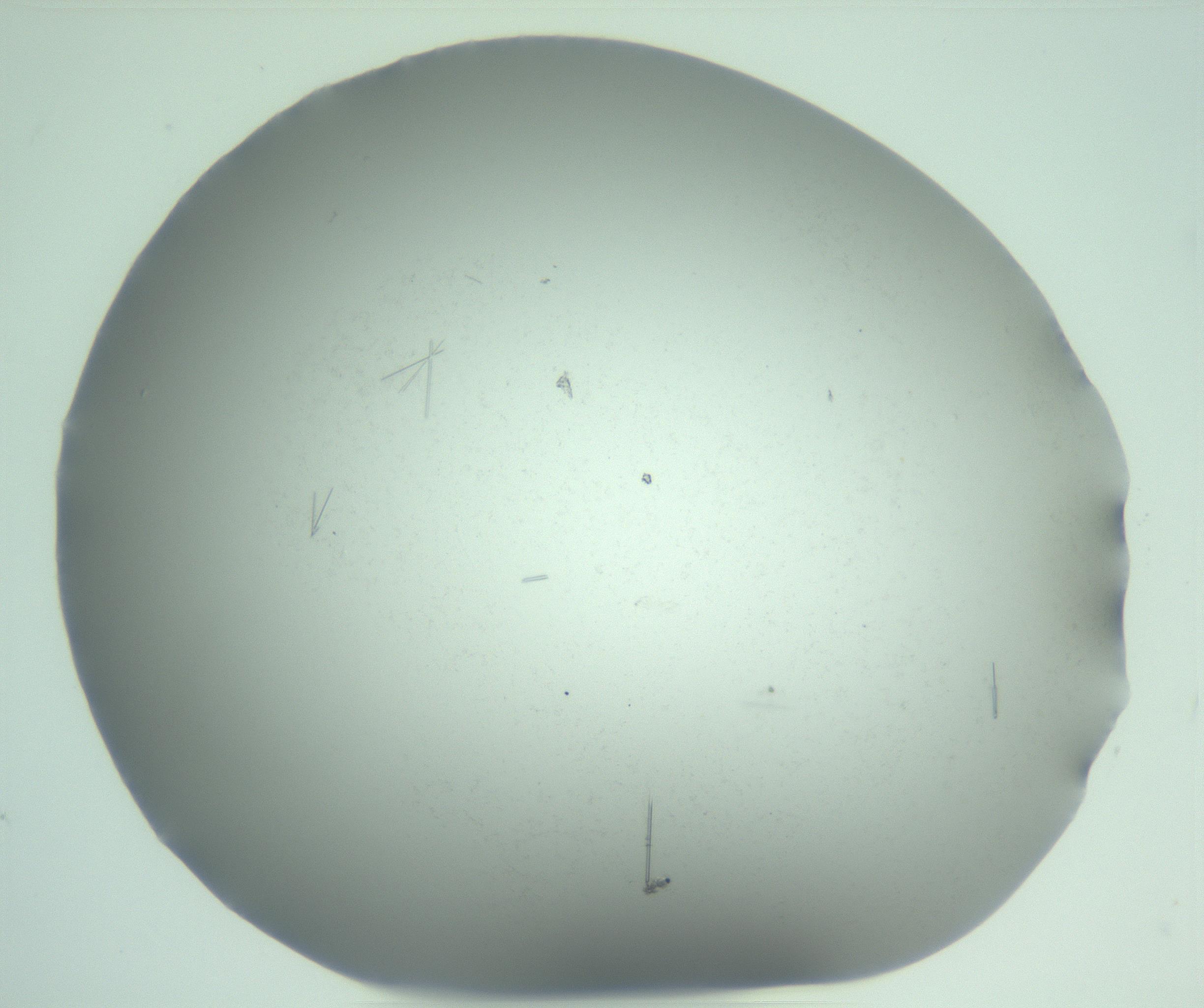 RI01_03_000_0212_Proj1_Clon1_MC_0000MC103274_002_170214_01_05_01_00_99_002_001_RAI.jpg