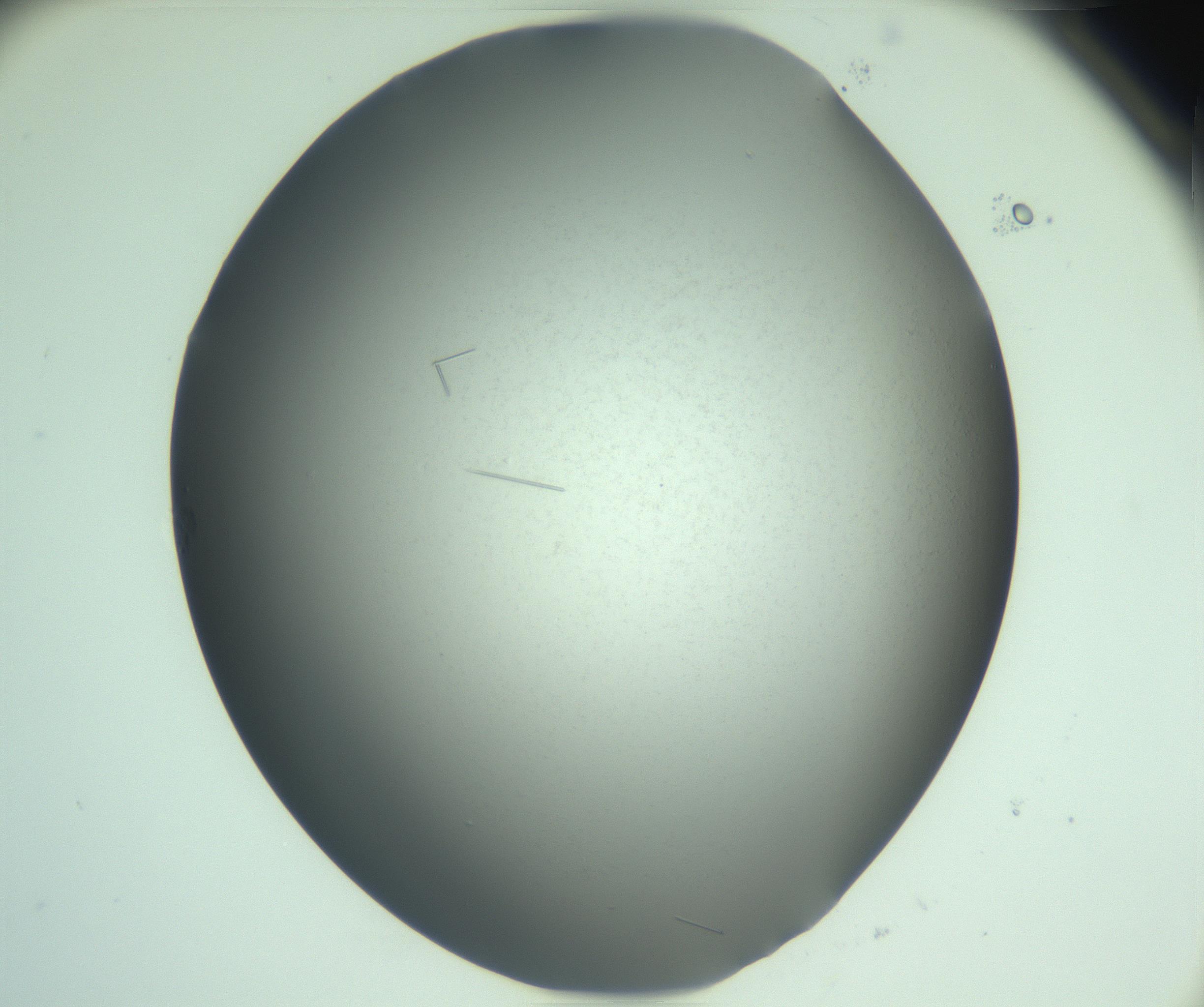 RI01_03_000_0212_Proj1_Clon1_MC_0000MC103274_002_170214_01_05_02_00_99_002_001_RAI.jpg