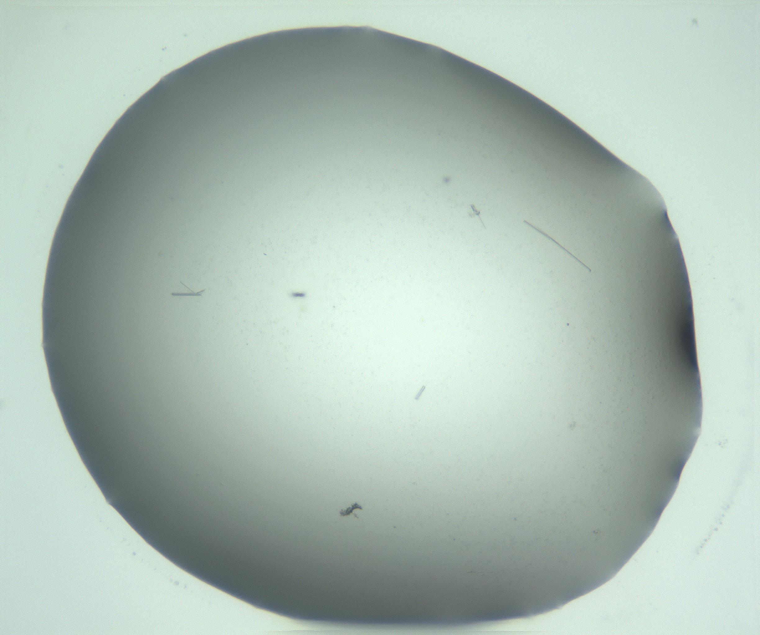 RI01_03_000_0212_Proj1_Clon1_MC_0000MC103274_002_170214_02_05_01_00_99_002_001_RAI.jpg