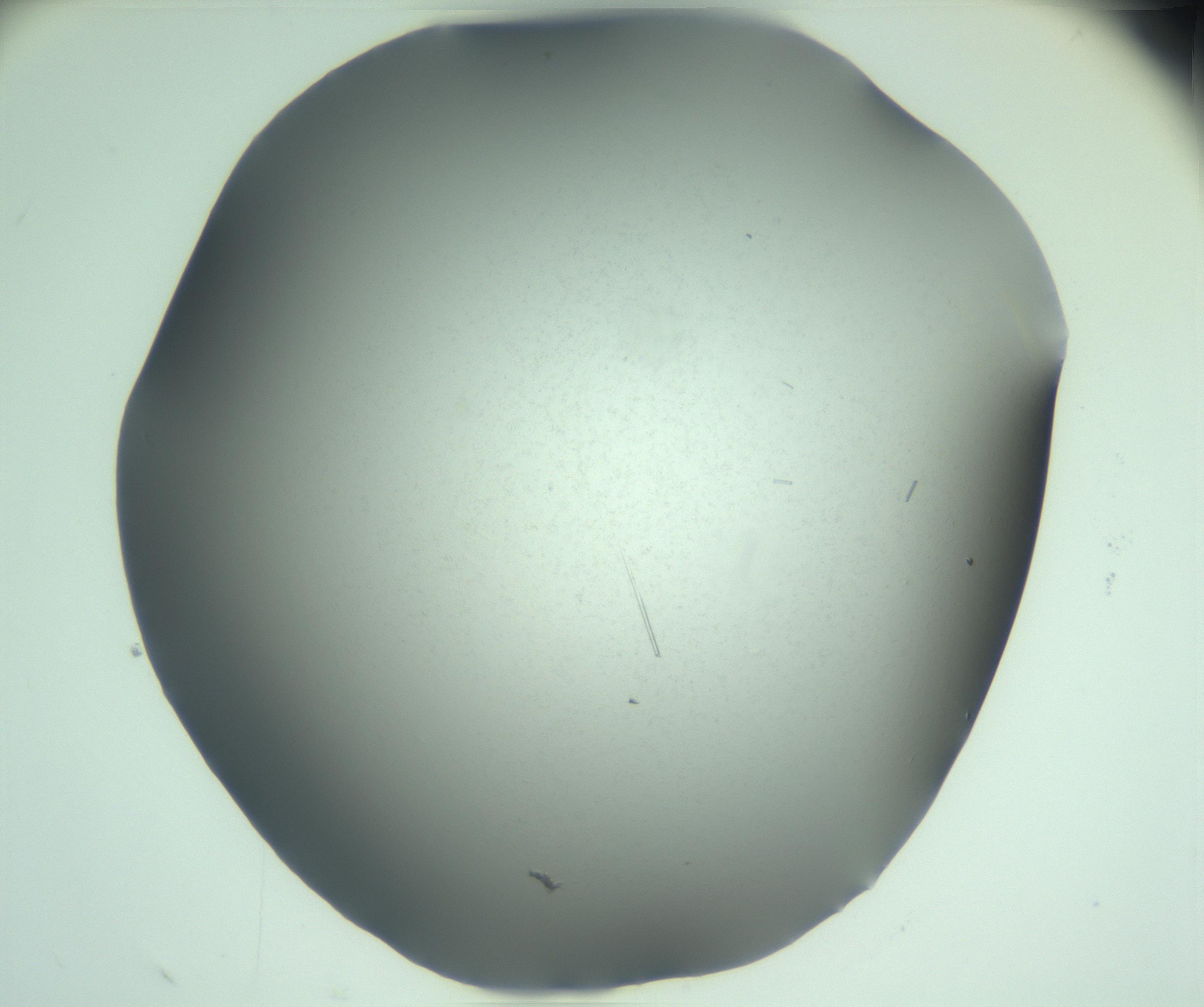 RI01_03_000_0212_Proj1_Clon1_MC_0000MC103274_002_170214_02_05_02_00_99_002_001_RAI.jpg