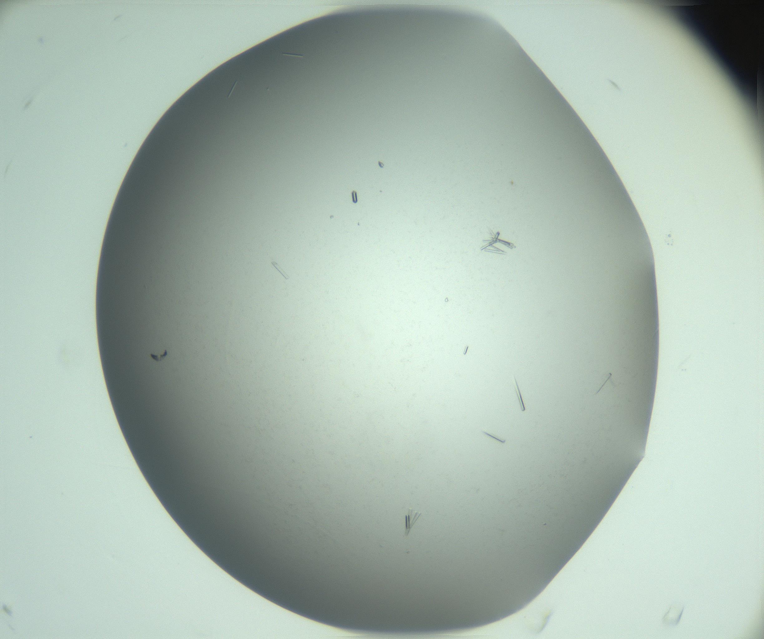 RI01_03_000_0212_Proj1_Clon1_MC_0000MC103274_002_170214_04_05_02_00_99_002_001_RAI.jpg