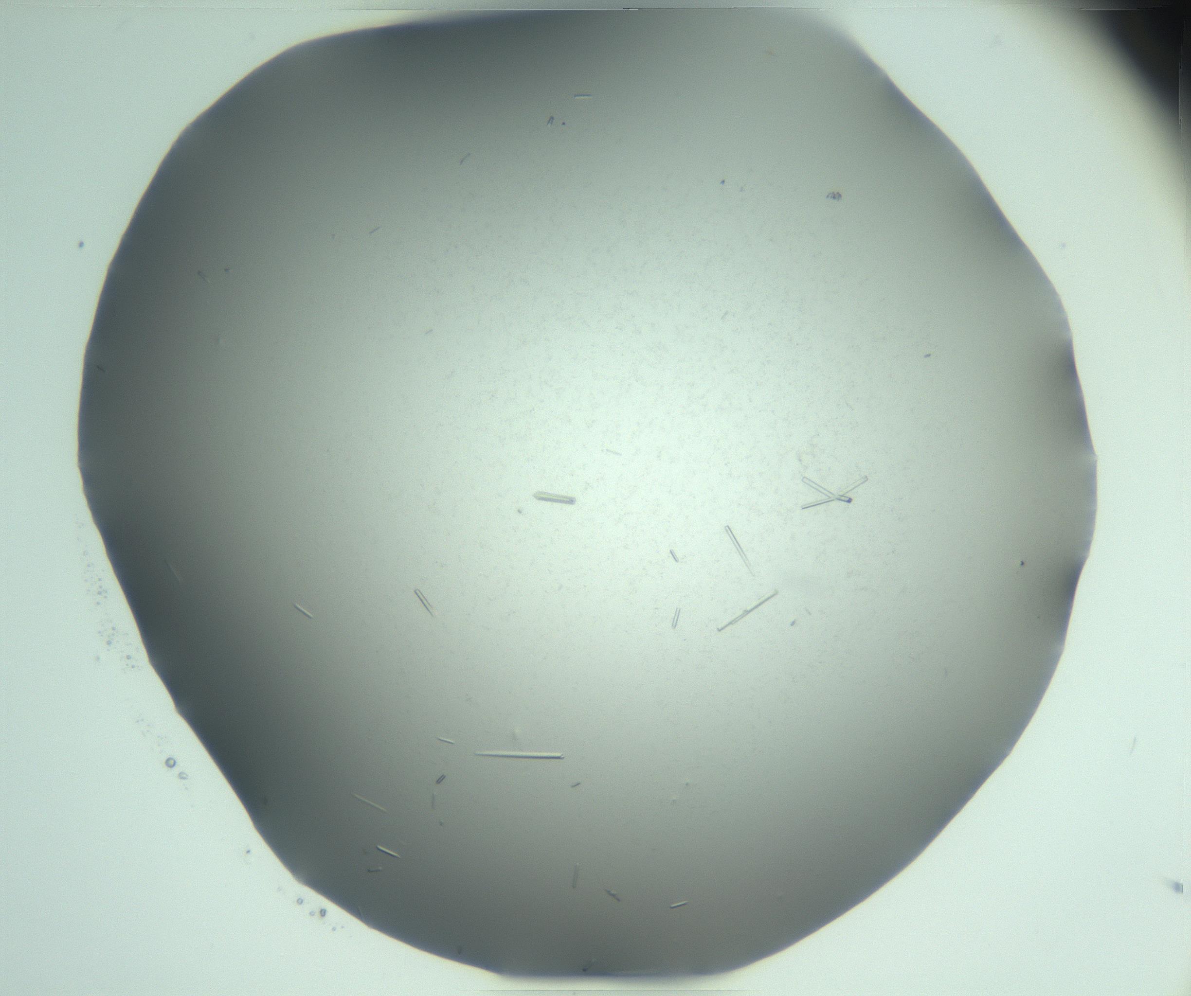 RI01_03_000_0212_Proj1_Clon1_MC_0000MC103274_002_170214_05_05_02_00_99_002_001_RAI.jpg