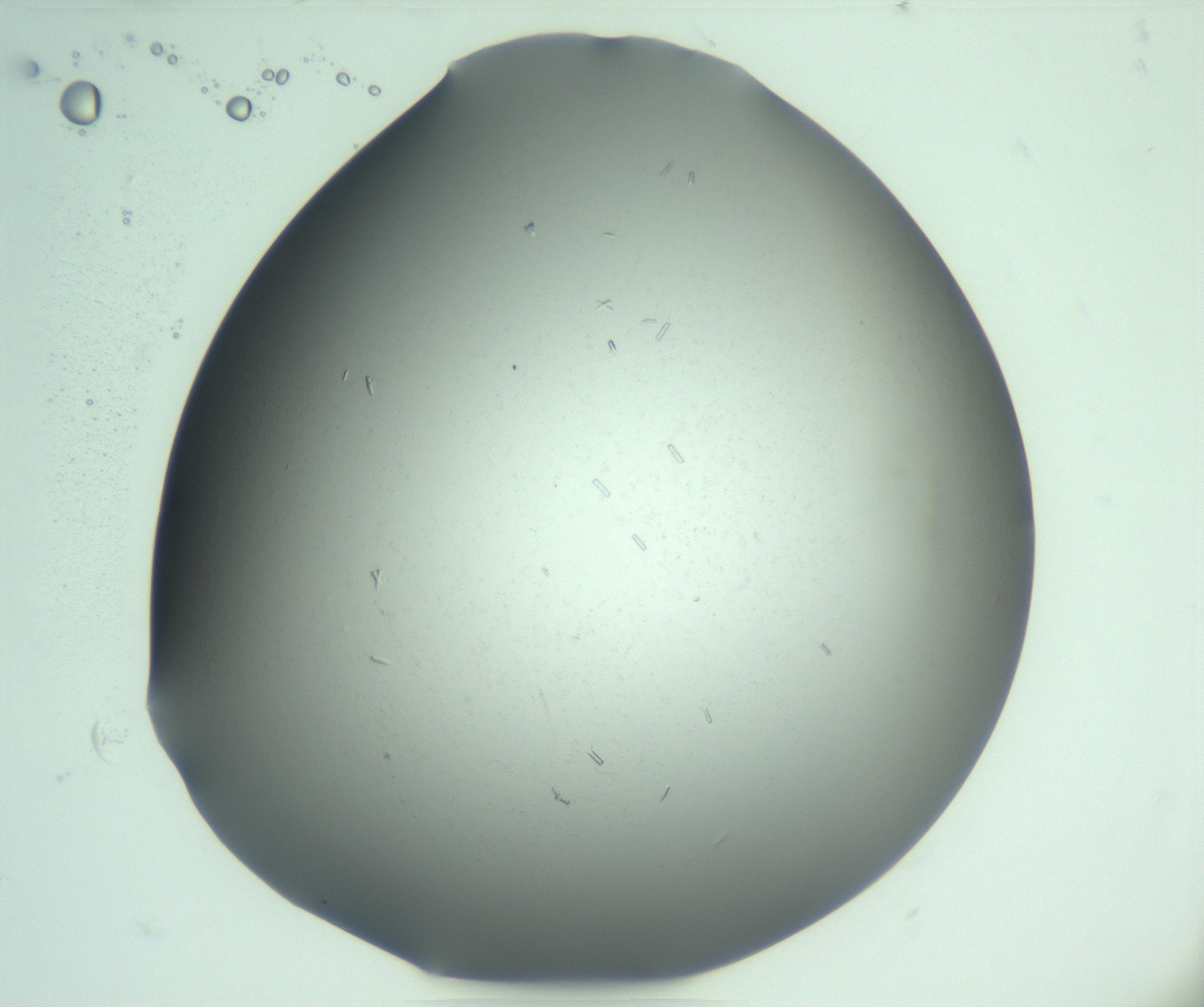 RI01_03_000_0212_Proj1_Clon1_MC_0000MC103274_002_170214_08_02_01_00_99_002_001_RAI.jpg