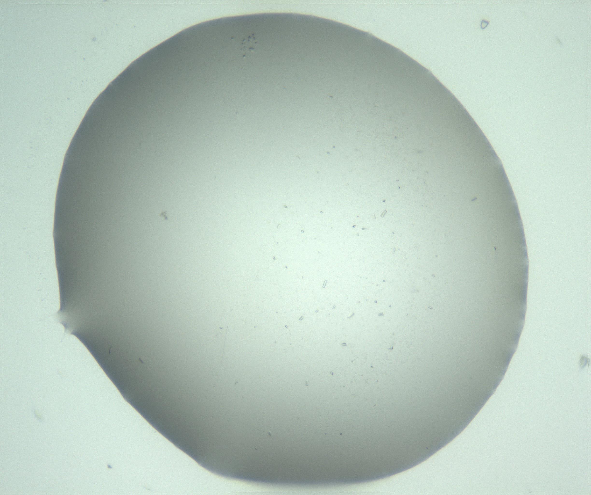 RI01_03_000_0212_Proj1_Clon1_MC_0000MC103274_002_170214_09_02_01_00_99_002_001_RAI.jpg