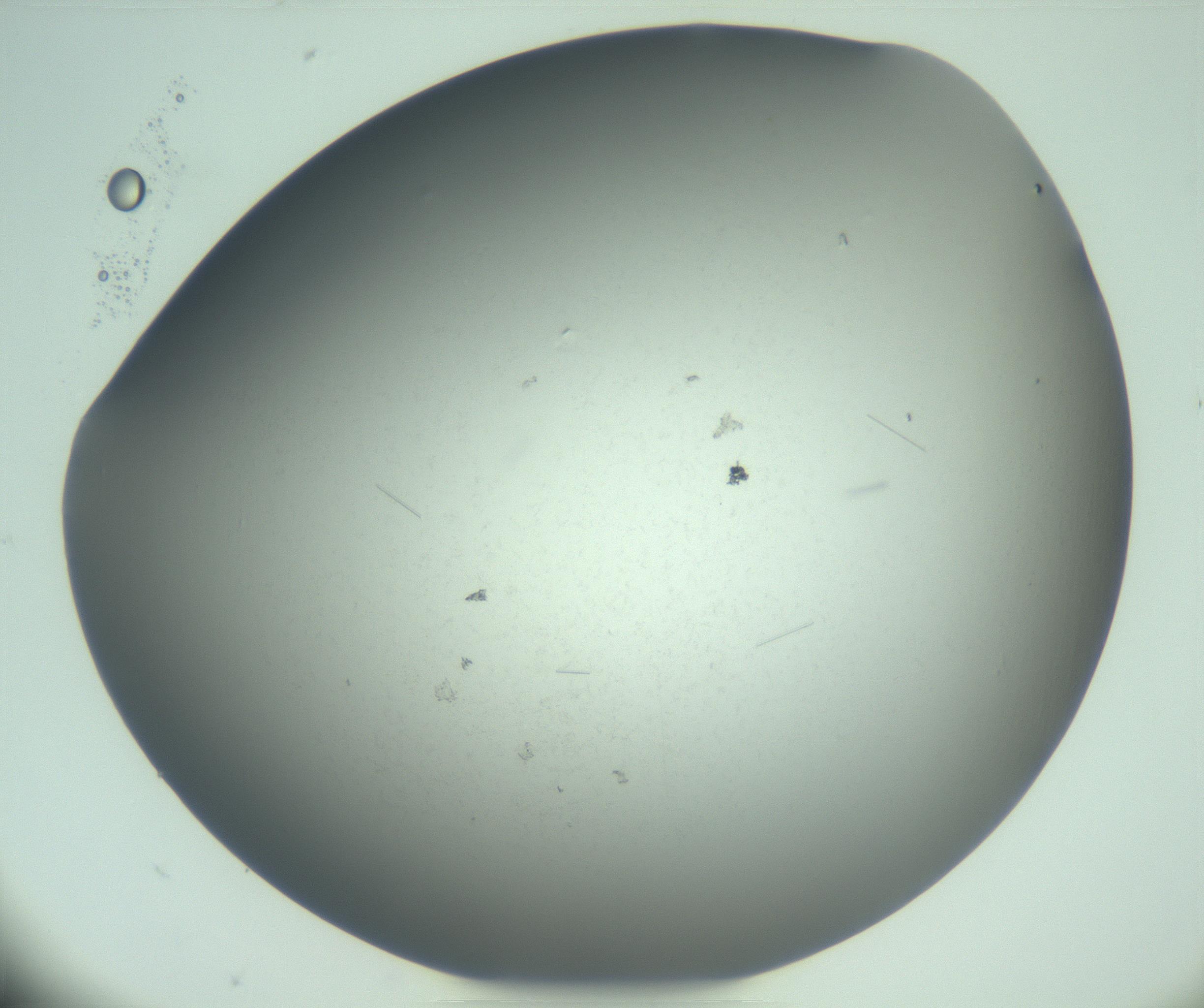 RI01_03_000_0212_Proj1_Clon1_MC_0000MC103274_002_170214_10_03_02_00_99_002_001_RAI.jpg
