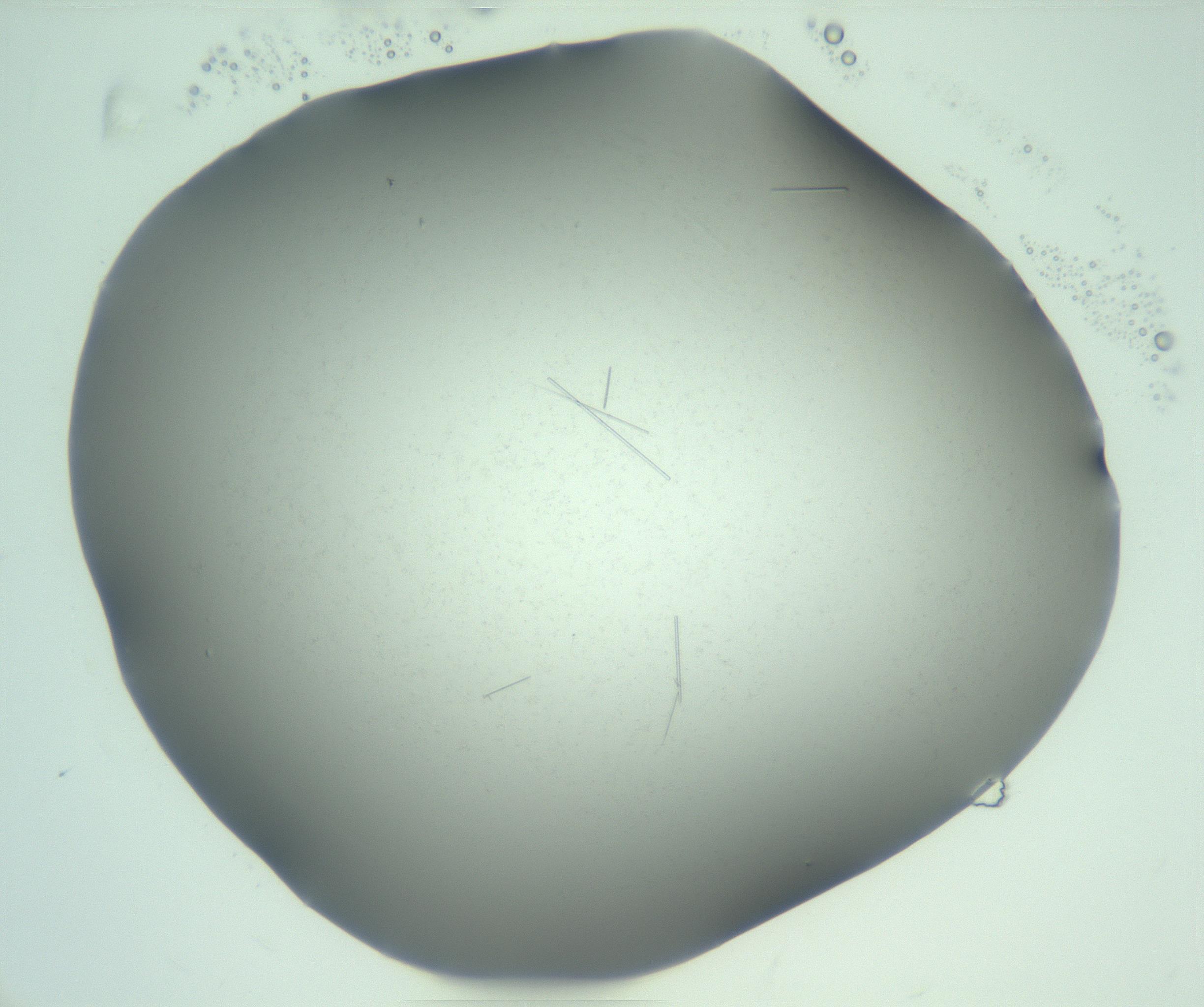 RI01_03_000_0212_Proj1_Clon1_MC_0000MC103274_002_170214_12_04_01_00_99_002_001_RAI.jpg