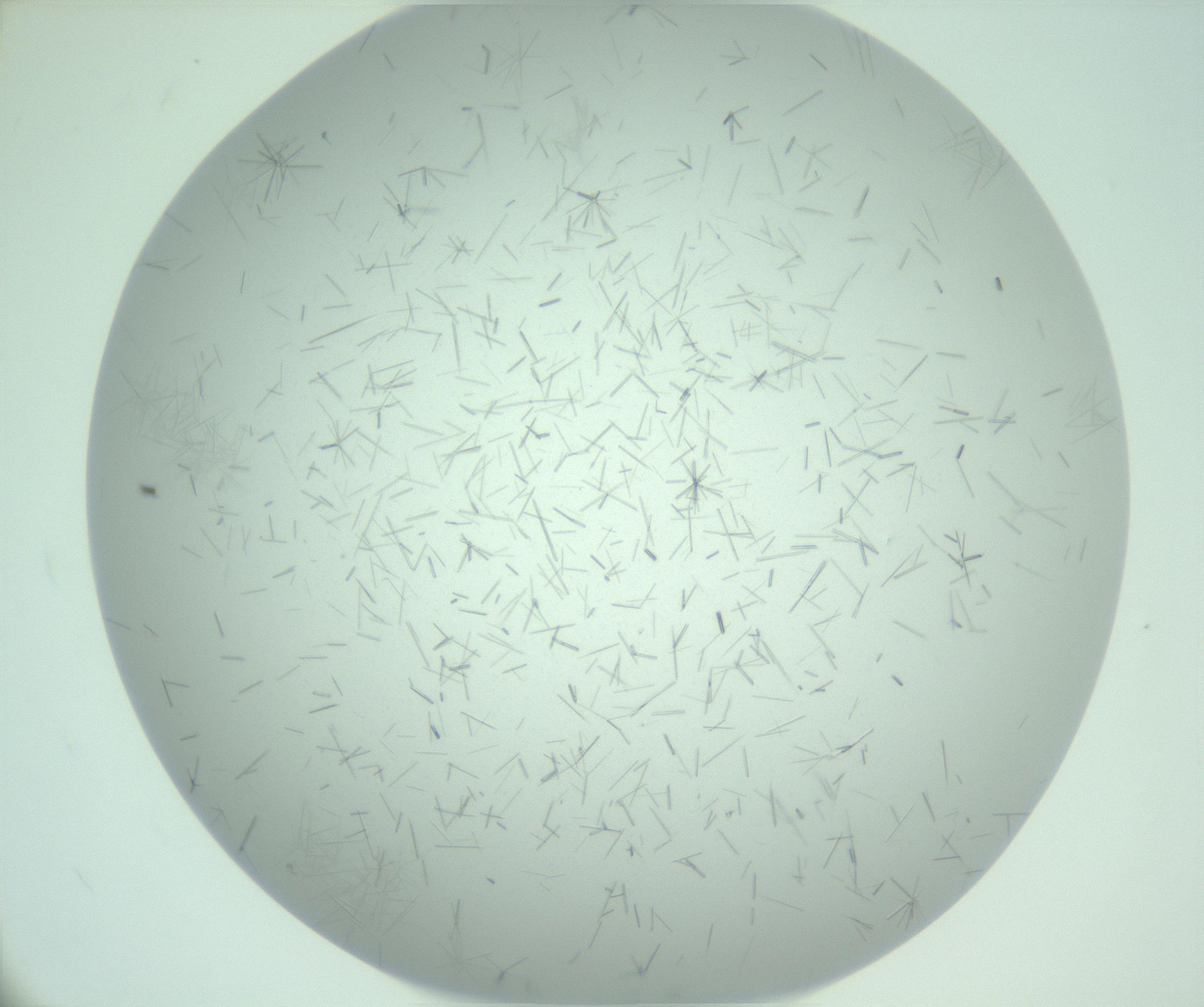 RI01_03_000_0212_Proj1_Clon1_MC_0000MC103274_002_170214_12_08_01_00_99_002_001_RAI.jpg