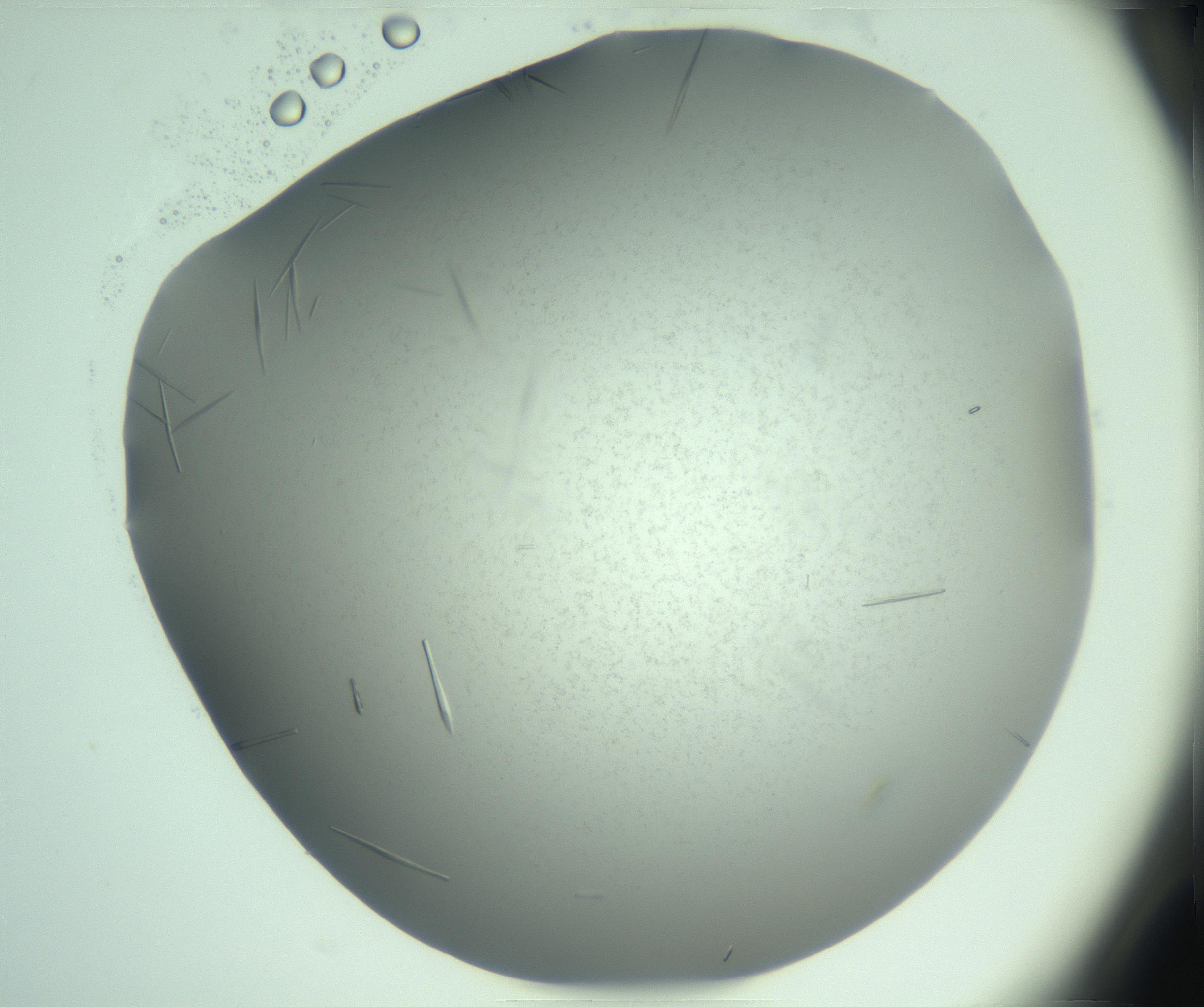 RI01_03_000_0212_Proj1_Clon1_MC_0000MC103274_004_170218_01_02_02_00_99_002_001_RAI.jpg