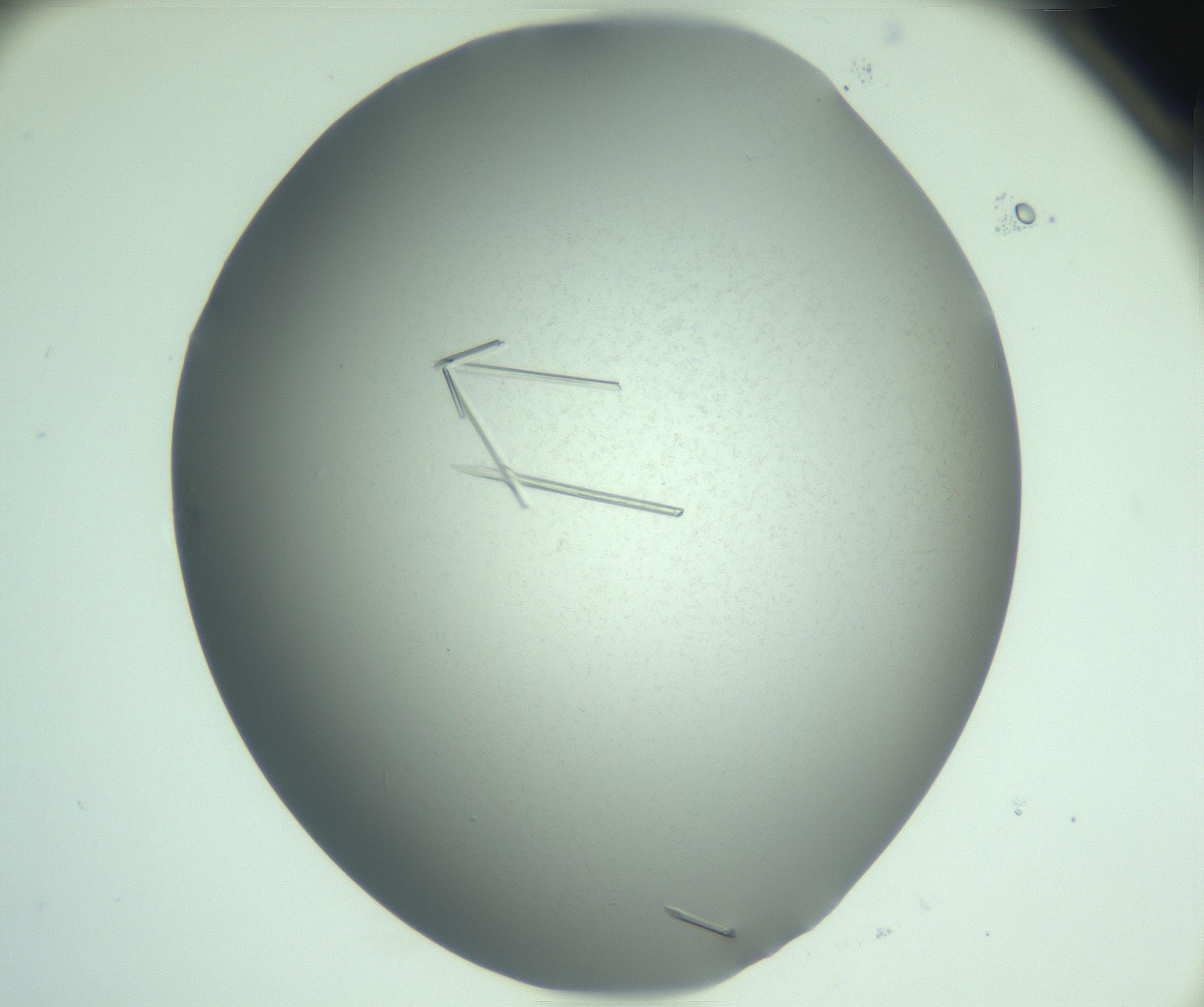RI01_03_000_0212_Proj1_Clon1_MC_0000MC103274_004_170218_01_05_02_00_99_002_001_RAI.jpg
