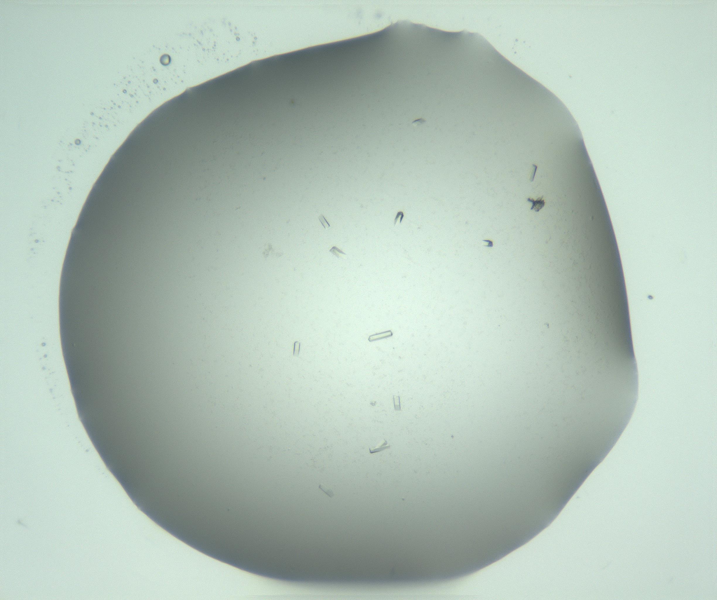 RI01_03_000_0212_Proj1_Clon1_MC_0000MC103274_004_170218_06_03_01_00_99_002_001_RAI.jpg
