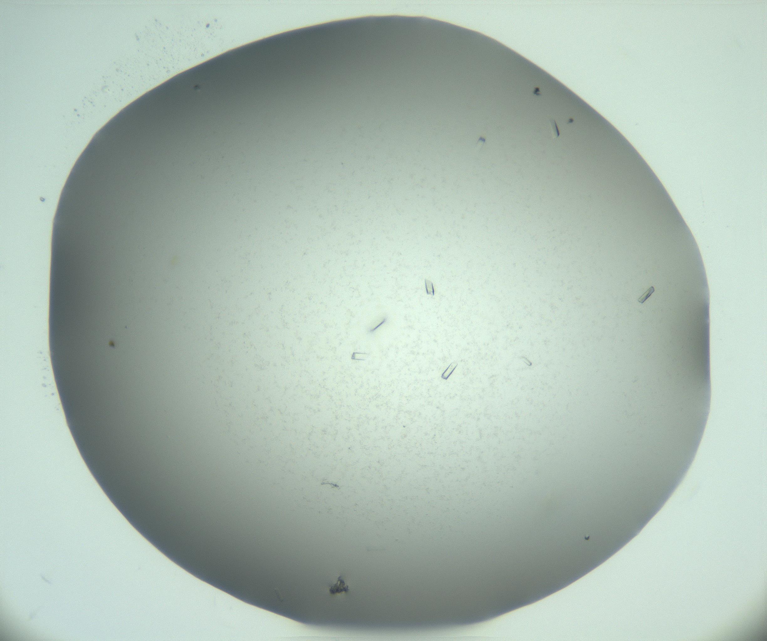 RI01_03_000_0212_Proj1_Clon1_MC_0000MC103274_004_170218_06_03_02_00_99_002_001_RAI.jpg