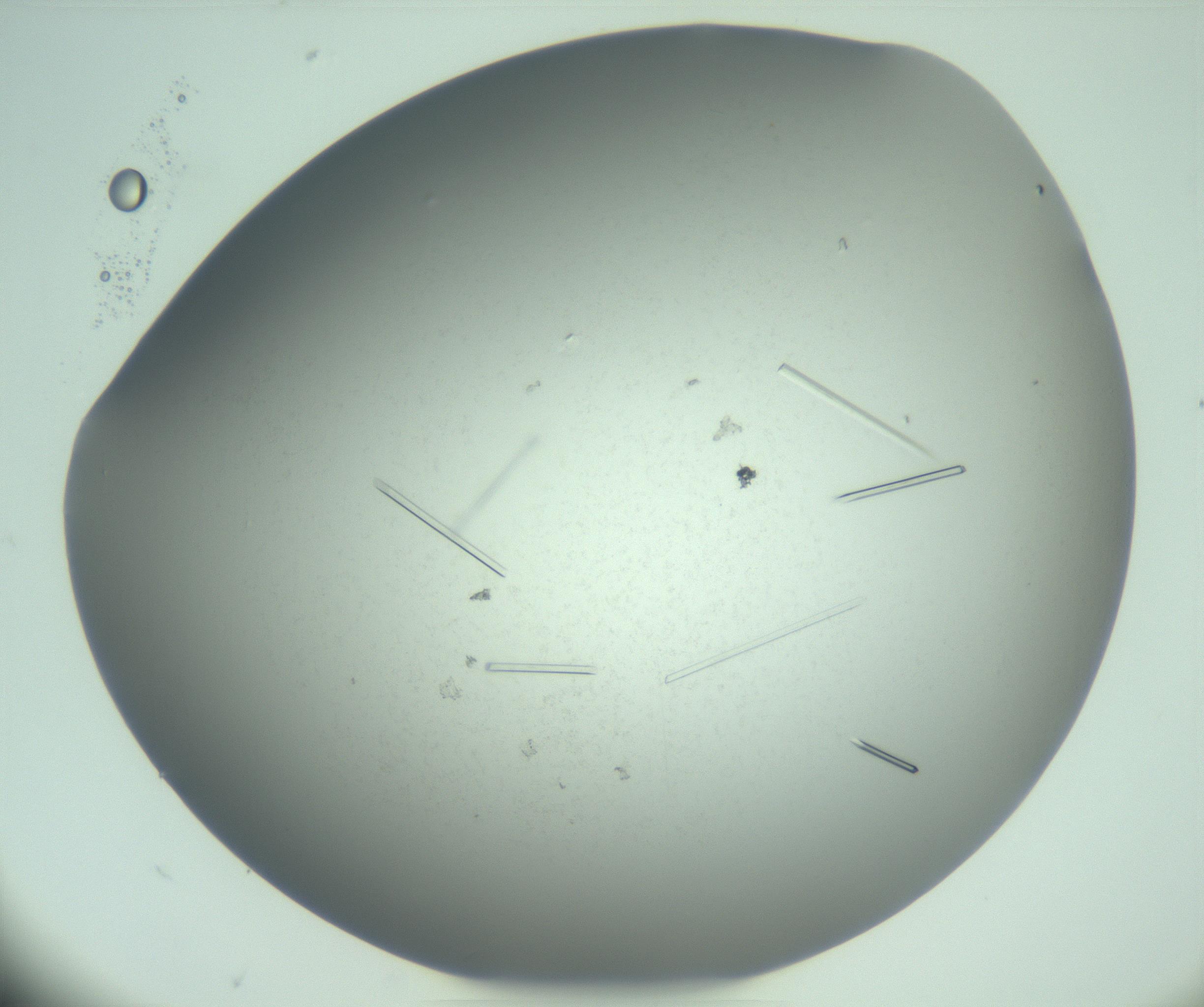 RI01_03_000_0212_Proj1_Clon1_MC_0000MC103274_004_170218_10_03_02_00_99_002_001_RAI.jpg