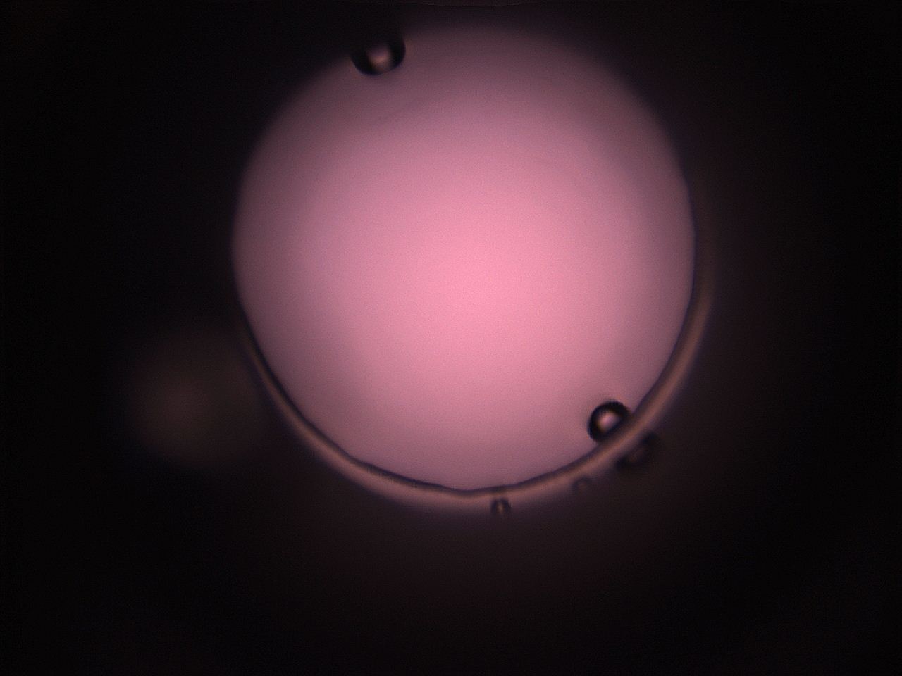 05i5_O6_ImagerDefaults_1.jpg