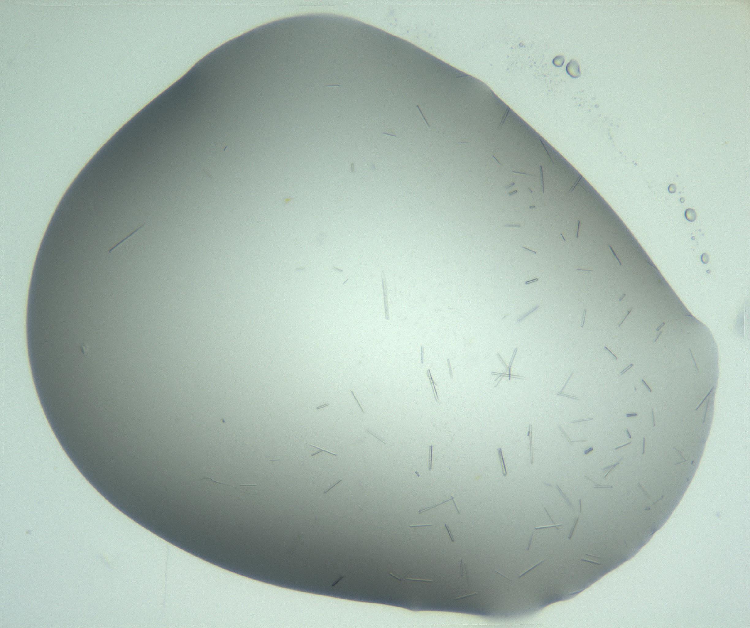RI01_03_000_0212_Proj1_Clon1_MC_0000MC103280_002_170215_02_05_02_00_99_002_001_RAI.jpg