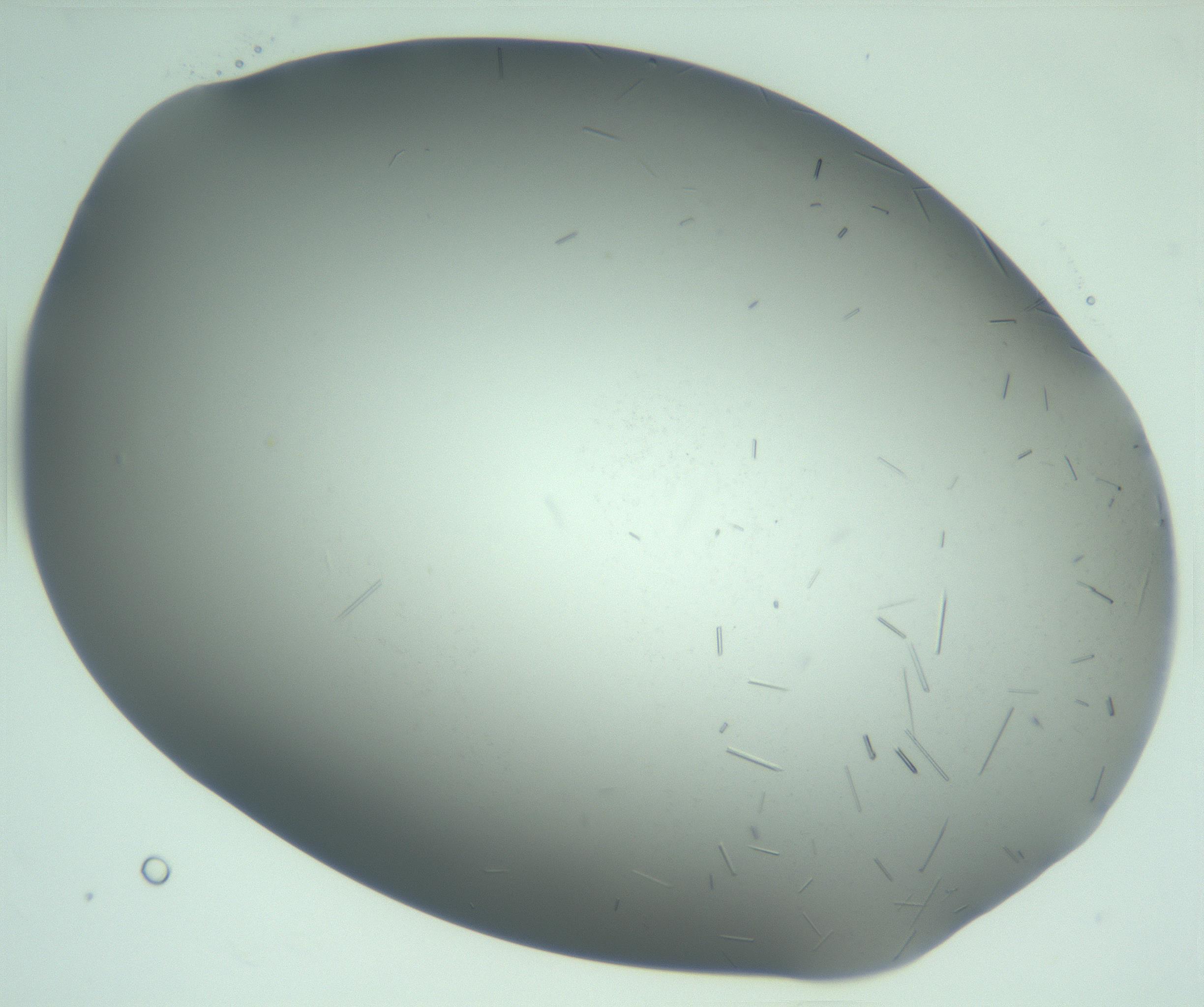 RI01_03_000_0212_Proj1_Clon1_MC_0000MC103280_002_170215_03_05_02_00_99_002_001_RAI.jpg
