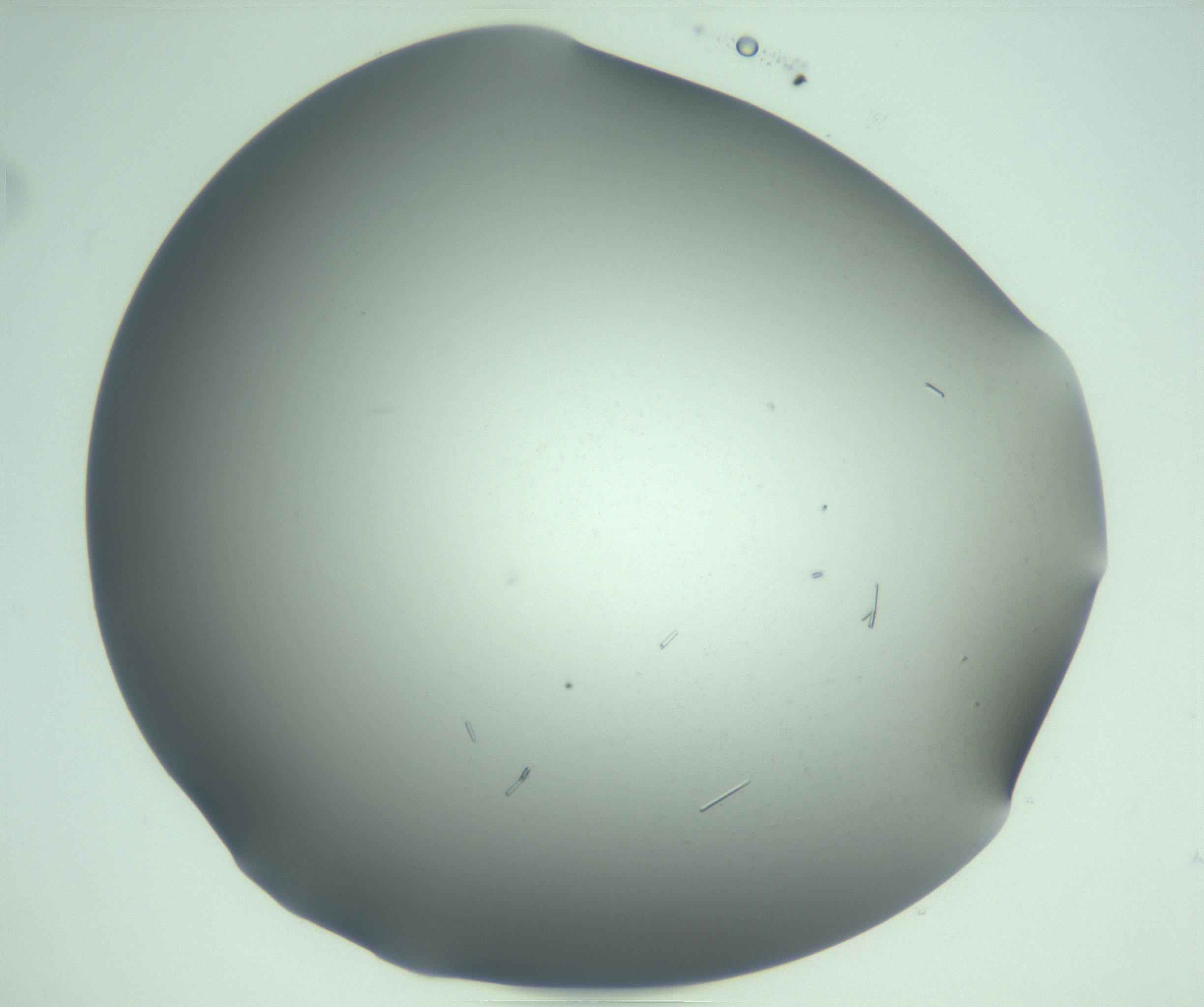 RI01_03_000_0212_Proj1_Clon1_MC_0000MC103280_002_170215_03_07_02_00_99_002_001_RAI.jpg