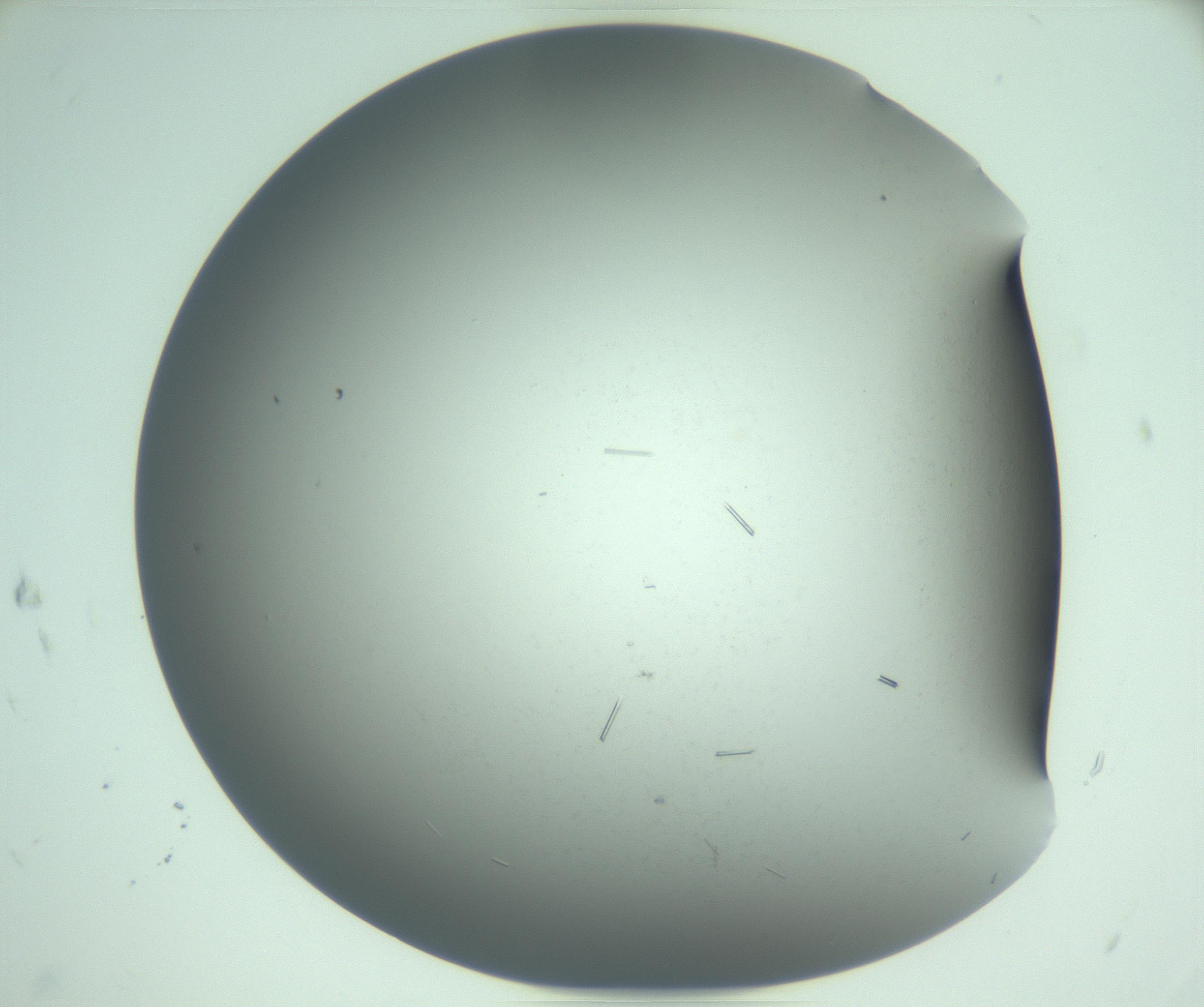 RI01_03_000_0212_Proj1_Clon1_MC_0000MC103280_002_170215_05_07_02_00_99_002_001_RAI.jpg