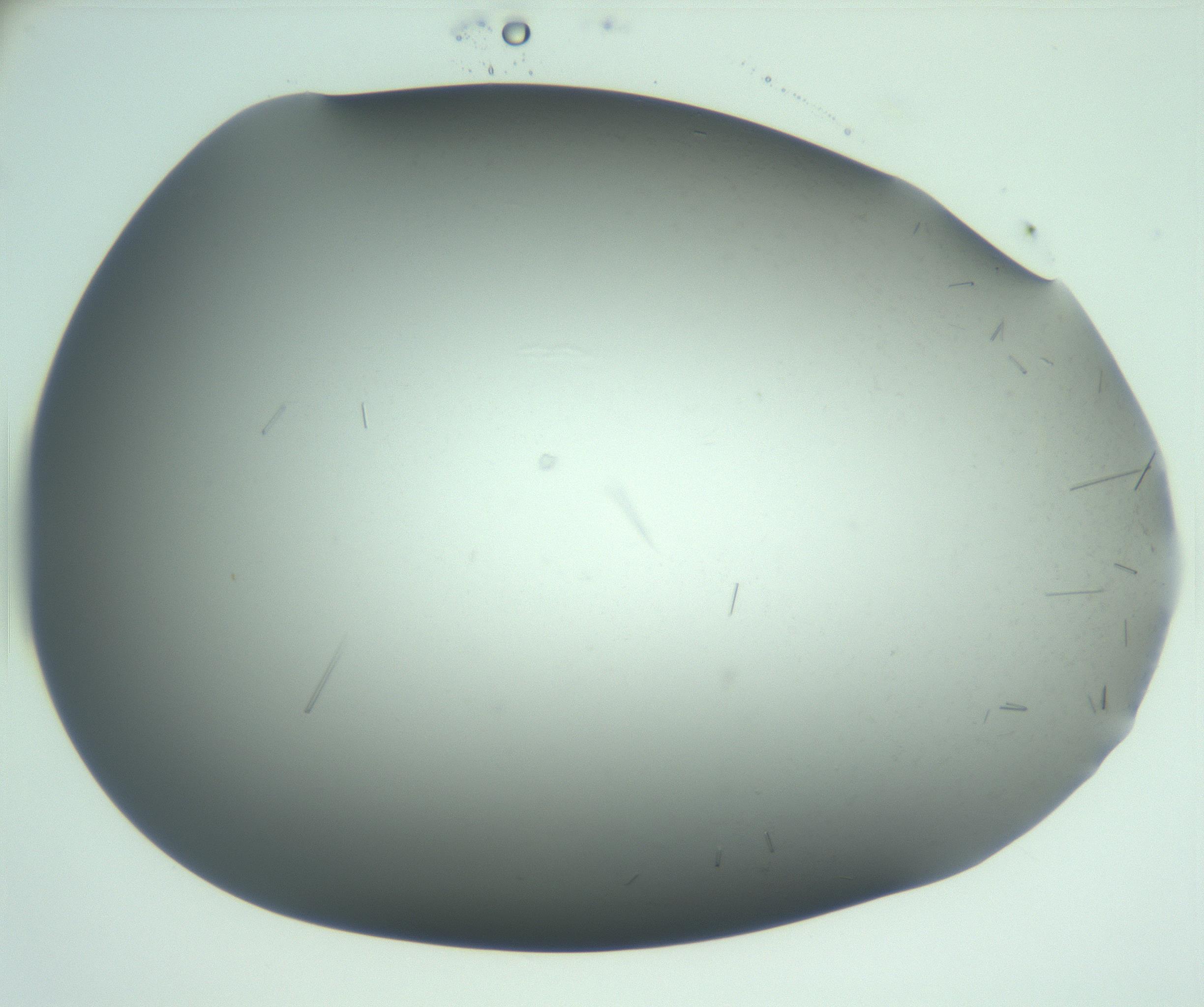 RI01_03_000_0212_Proj1_Clon1_MC_0000MC103280_002_170215_05_08_02_00_99_002_001_RAI.jpg