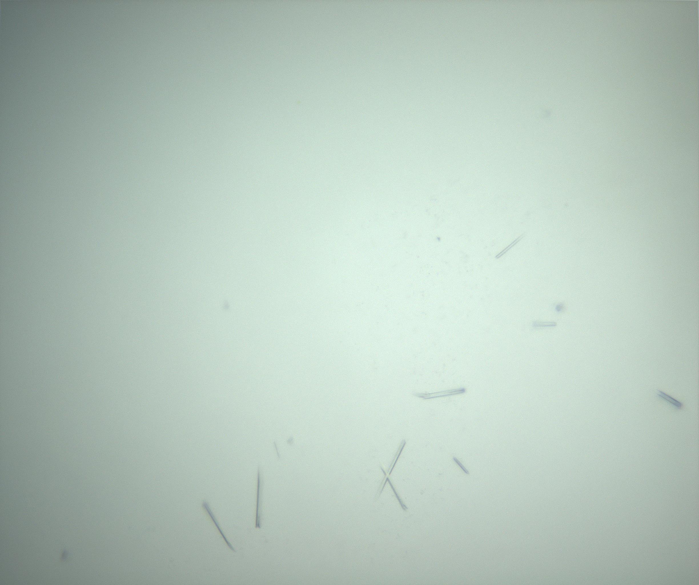 RI01_03_000_0212_Proj1_Clon1_MC_0000MC103280_002_170215_06_07_02_00_99_002_001_RAI.jpg