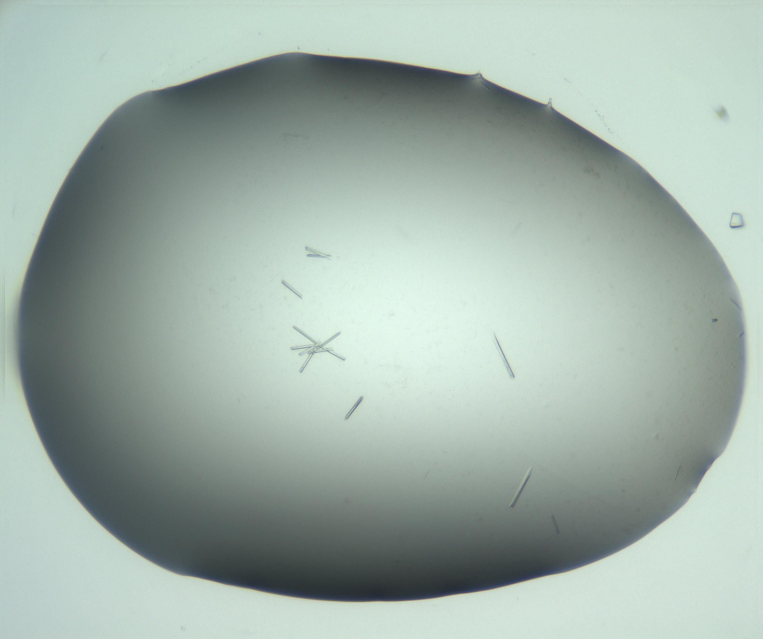 RI01_03_000_0212_Proj1_Clon1_MC_0000MC103280_002_170215_06_08_02_00_99_002_001_RAI.jpg