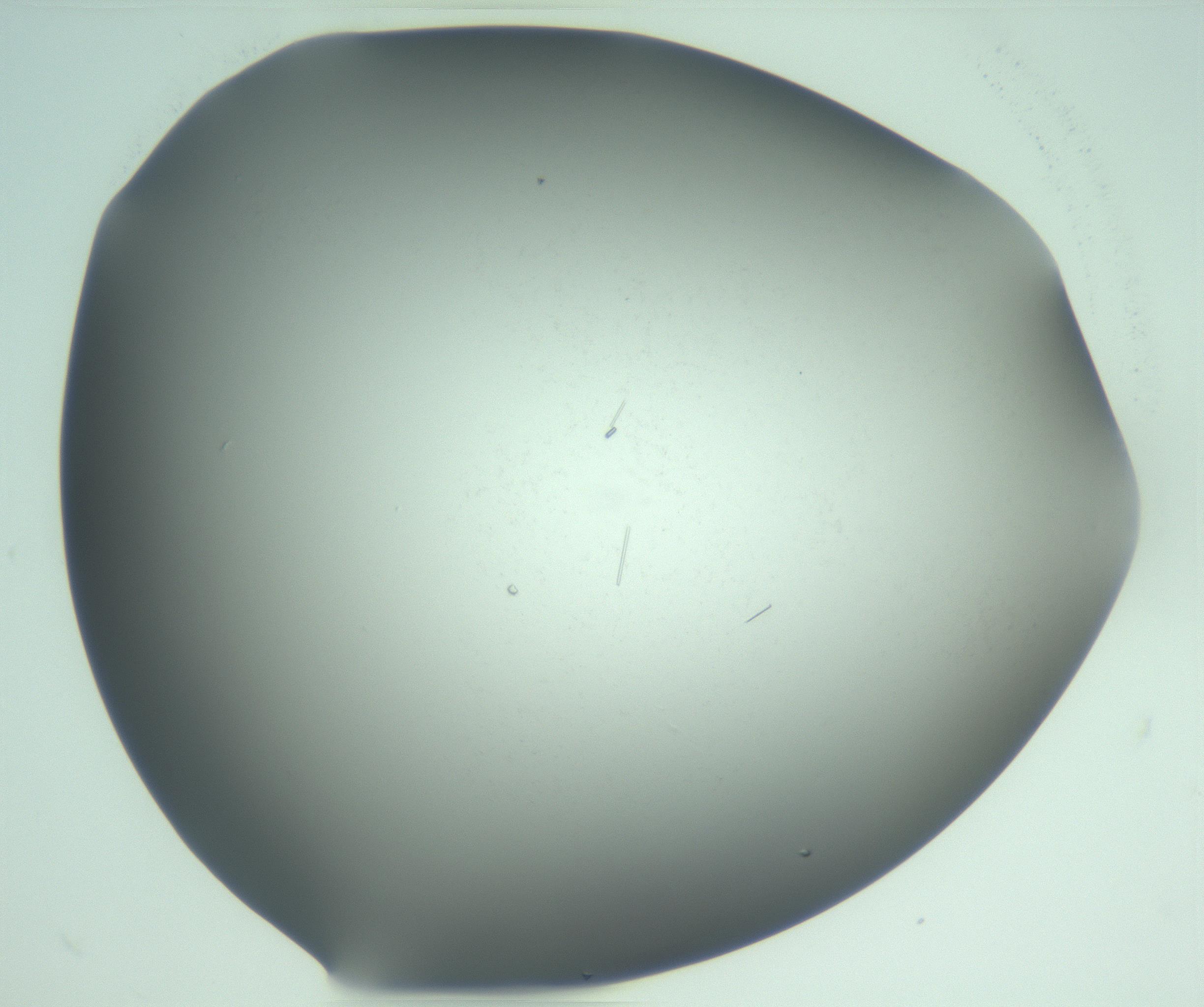 RI01_03_000_0212_Proj1_Clon1_MC_0000MC103280_002_170215_07_07_02_00_99_002_001_RAI.jpg
