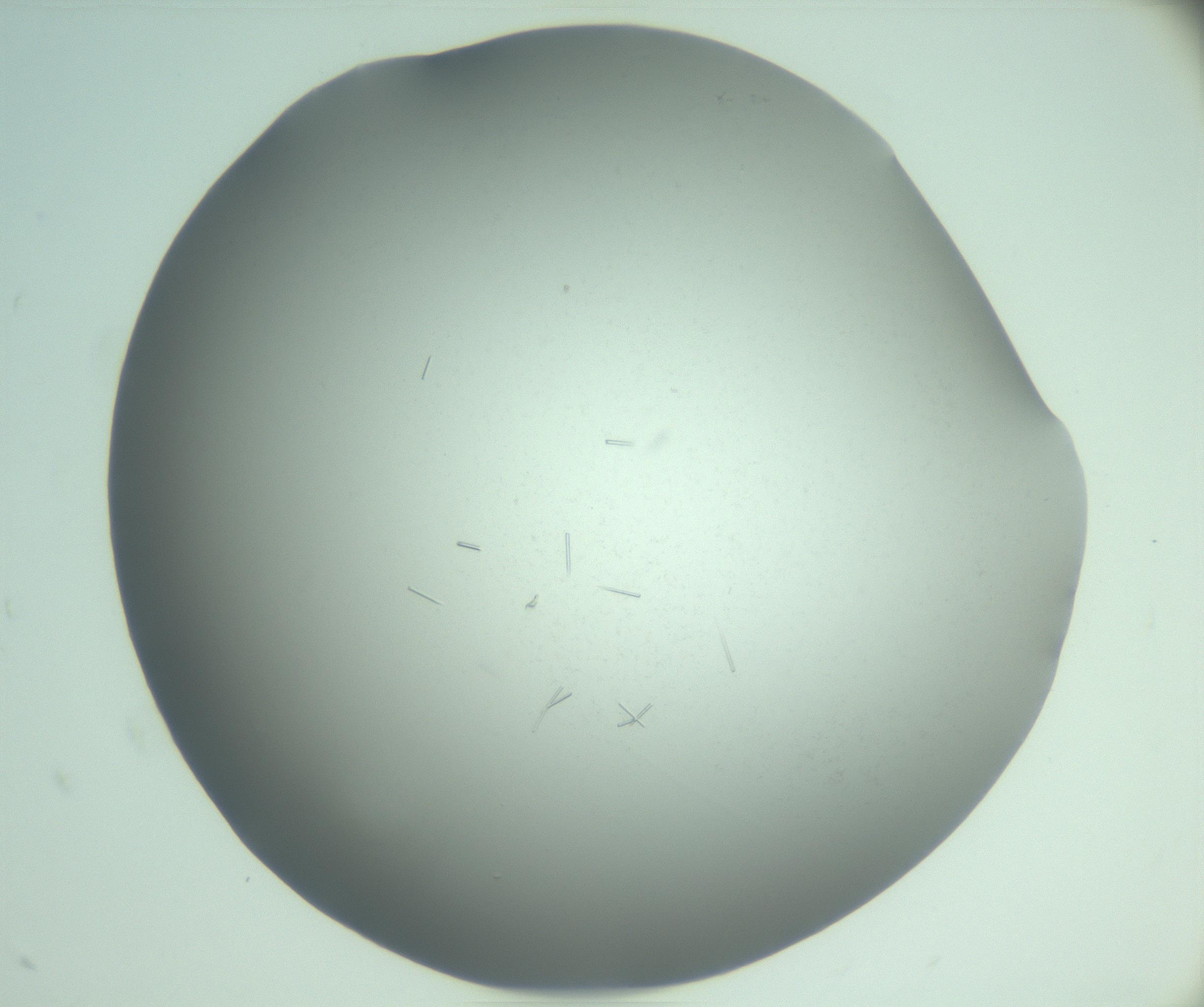 RI01_03_000_0212_Proj1_Clon1_MC_0000MC103280_002_170215_08_07_02_00_99_002_001_RAI.jpg