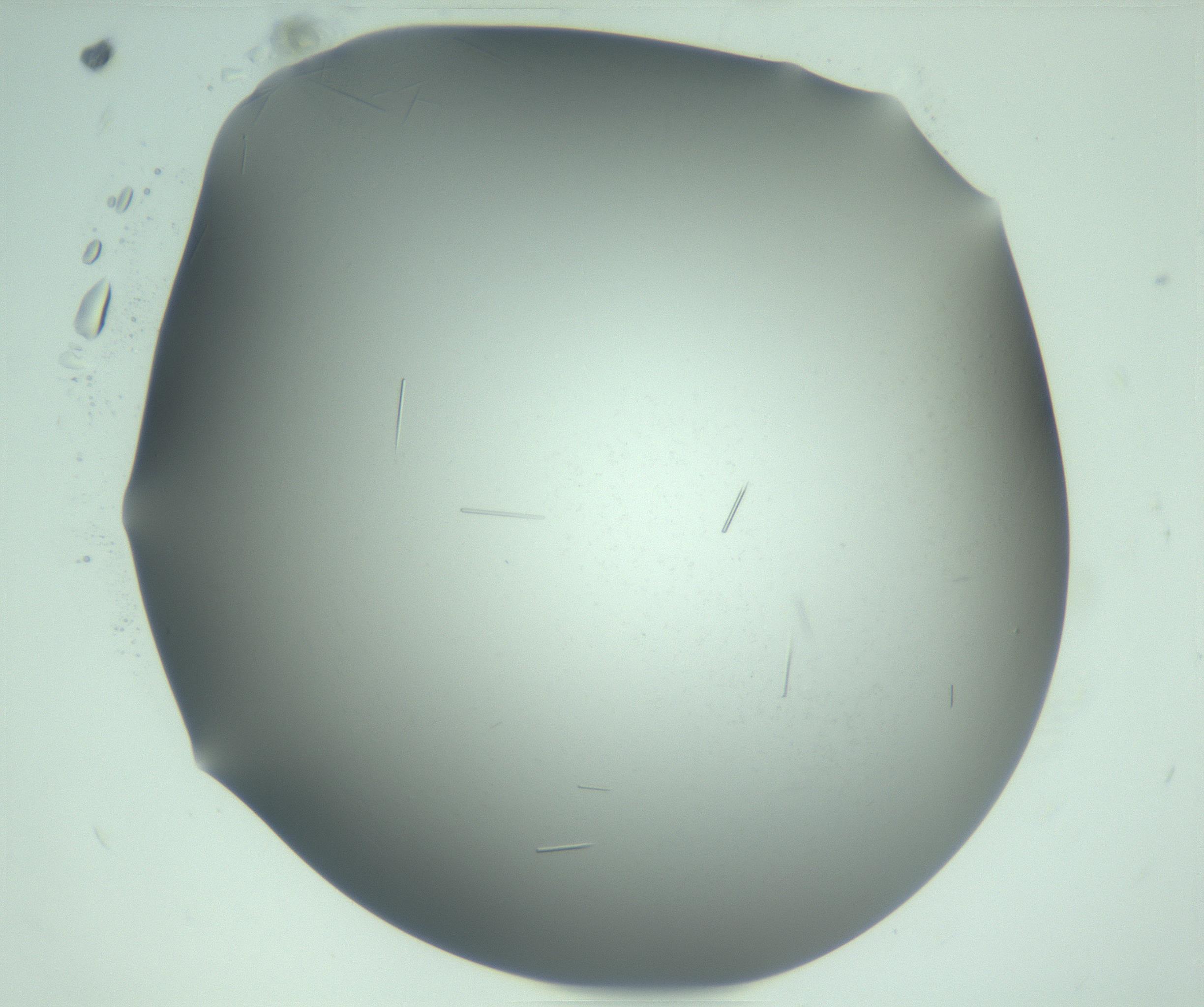 RI01_03_000_0212_Proj1_Clon1_MC_0000MC103280_002_170215_10_05_02_00_99_002_001_RAI.jpg