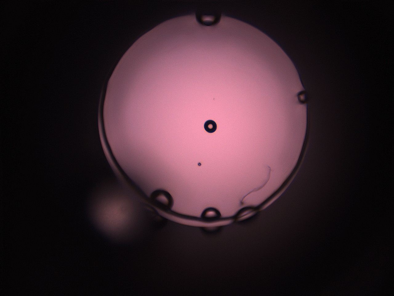 05i5_O9_ImagerDefaults_1.jpg
